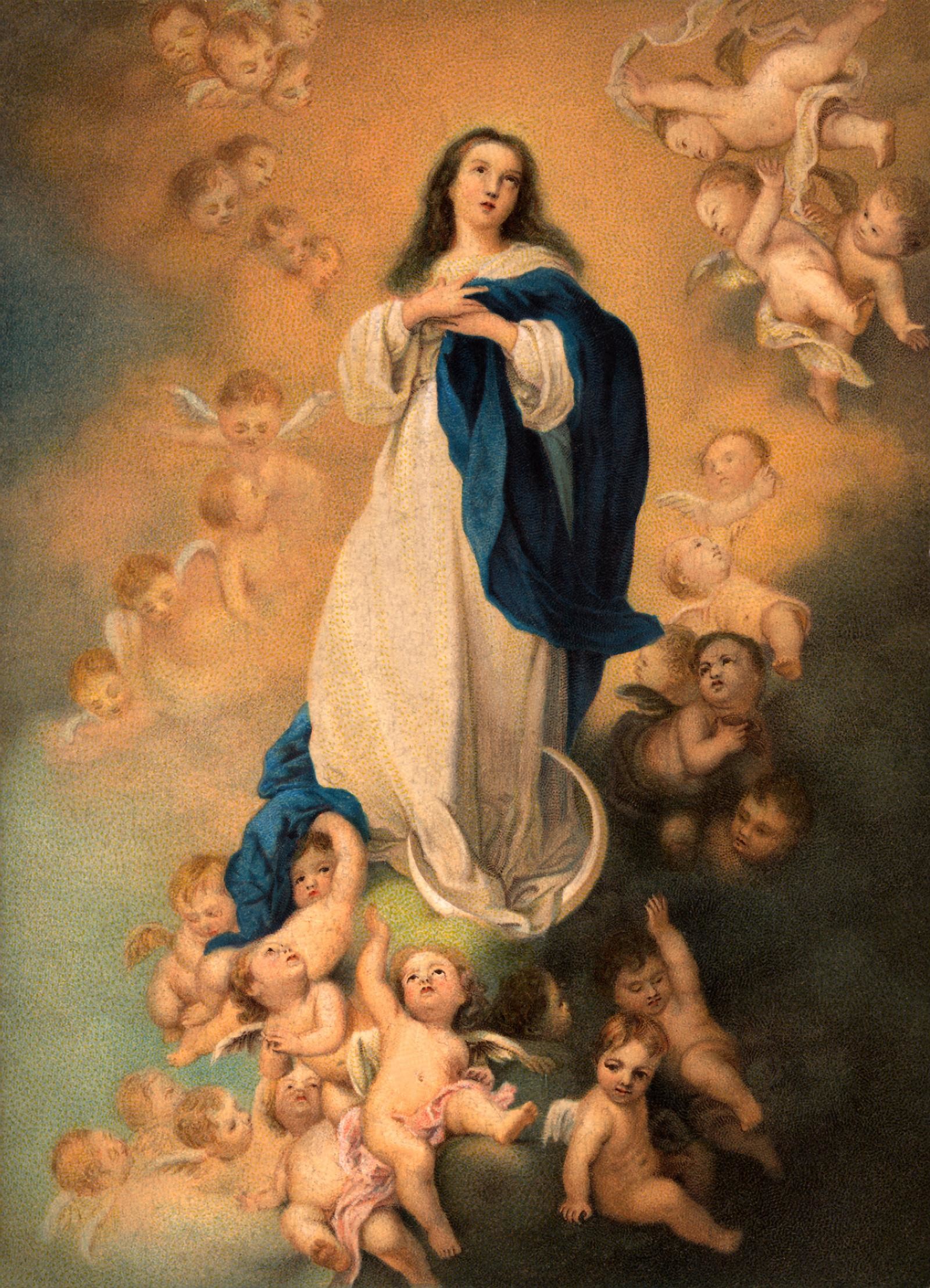 1600x2216 Assumption of Mary Wallpapers HD Download