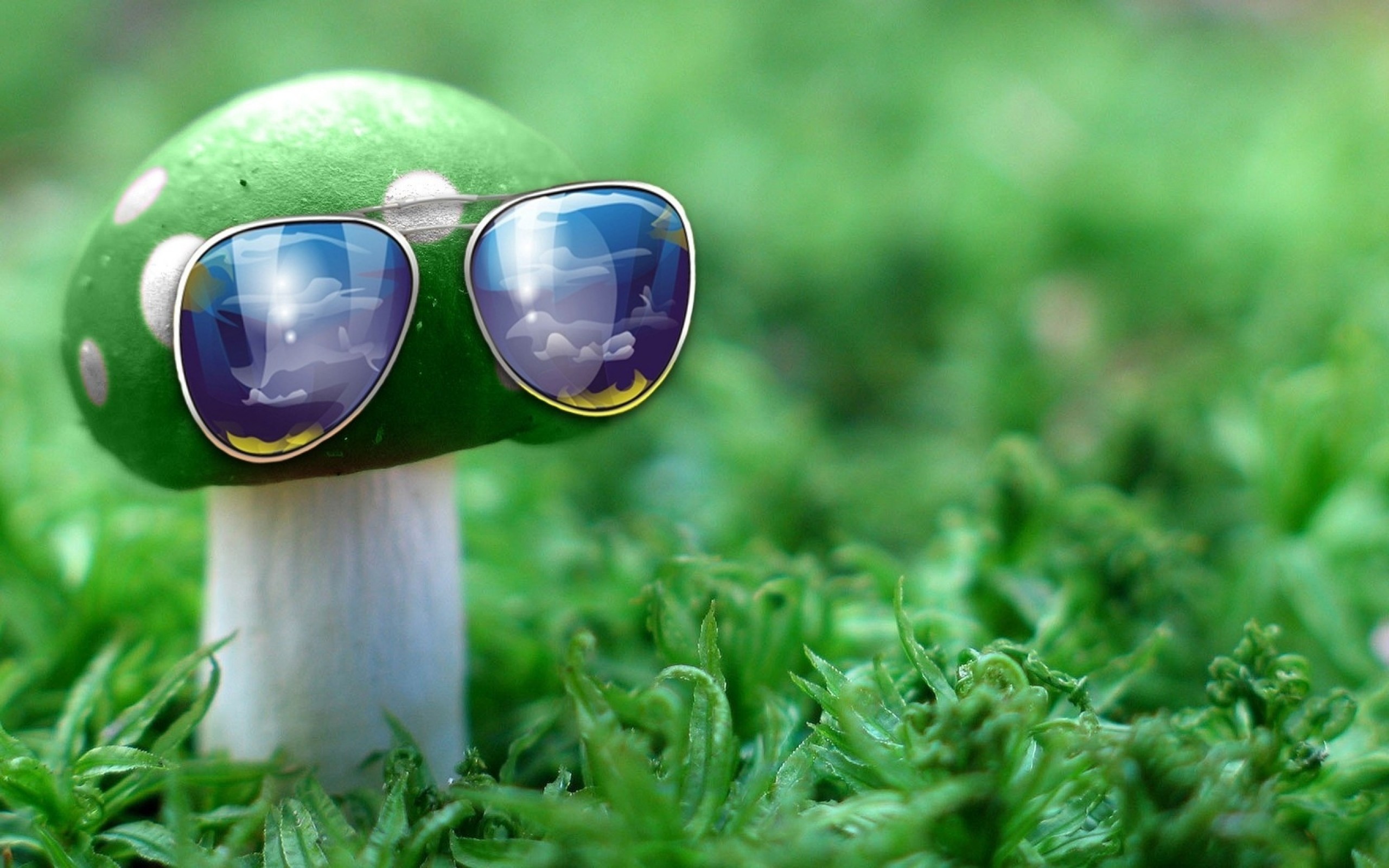 2560x1600  Wallpaper sunglasses, mushroom, idea, creative, grass, unusual
