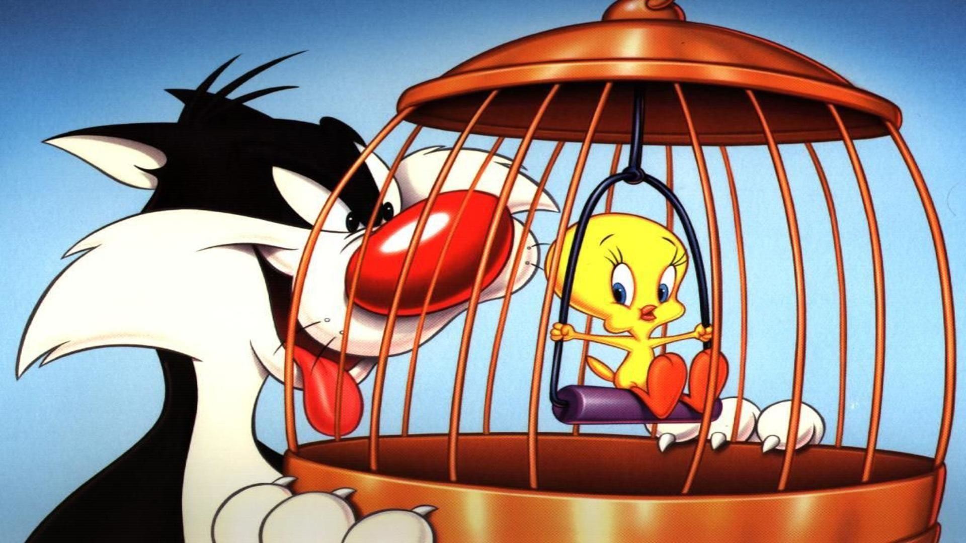 1920x1080 Sylvester tweety wallpaper cartoon frame cat and bird in cage free .