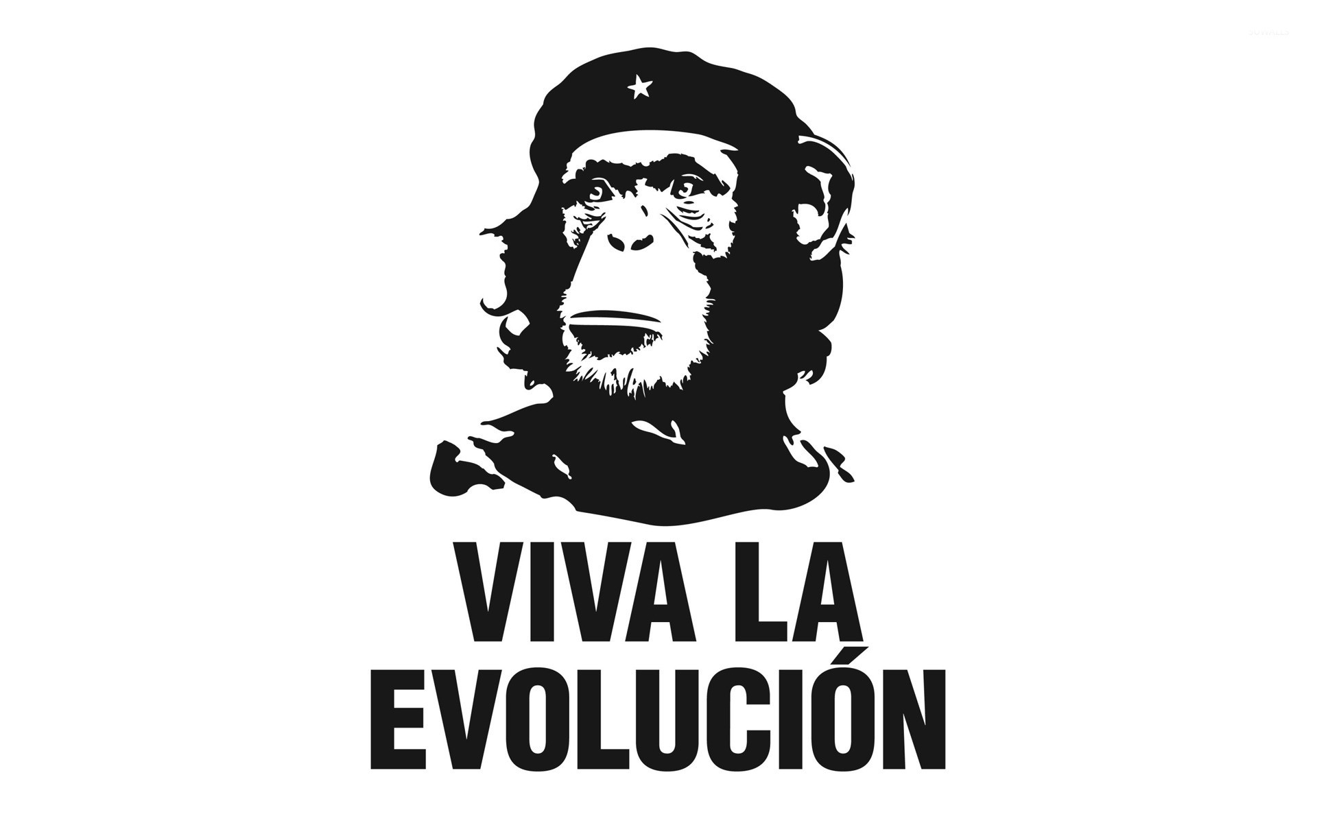 1920x1200 Viva la evolucion wallpaper  jpg