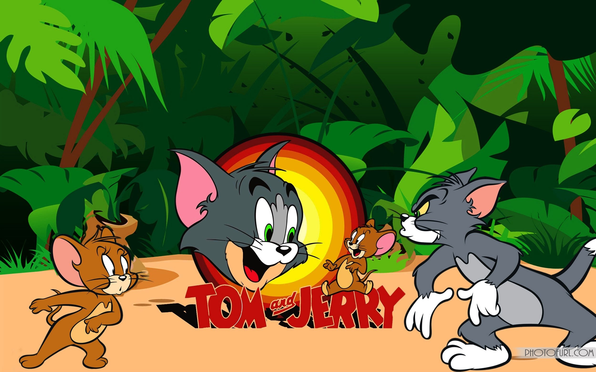 2500x1563 Tom And Jerry Wallpapers Free Download HD Wallpapers Pinterest