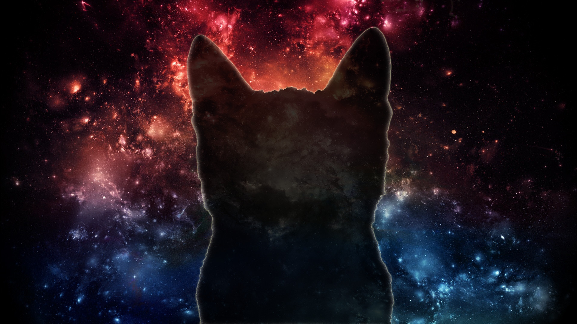 1920x1080 Space Cat Wallpaper Photo