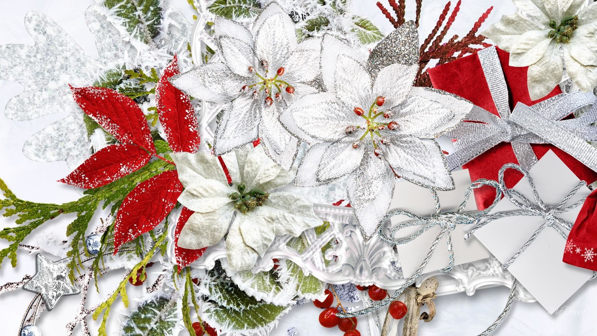 1920x1080 White Christmas Flowers Wallpaper Free HD