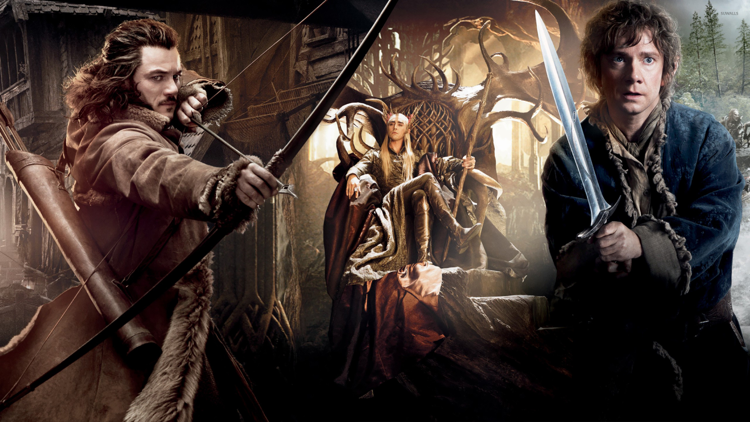 2560x1440 The Hobbit: The Desolation of Smaug [8] wallpaper