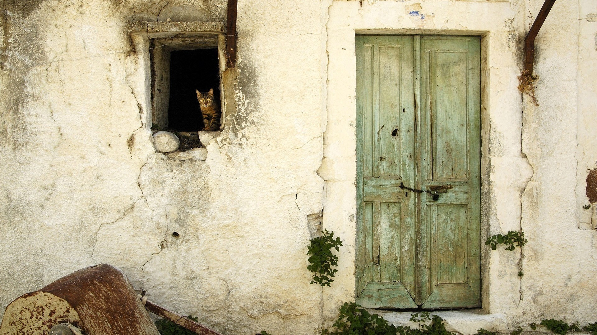 1920x1080 wallpaper.wiki-Cat-barn-old-door-backgrounds--