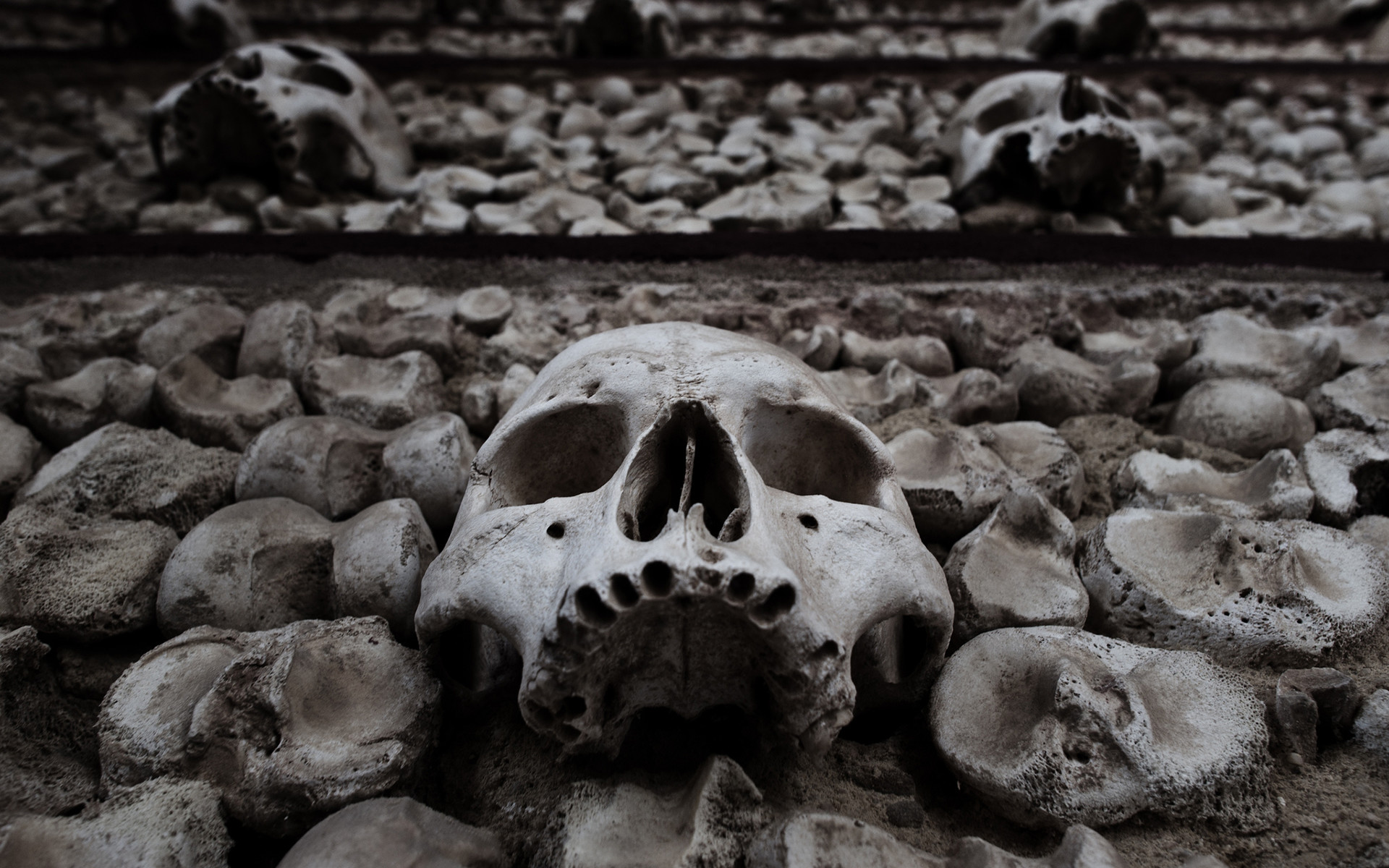 1920x1200 Dark fantasy death dead skulls skeleton halloween horror scary spooky  creepy black white eyes face wallpaper |  | 26217 | WallpaperUP