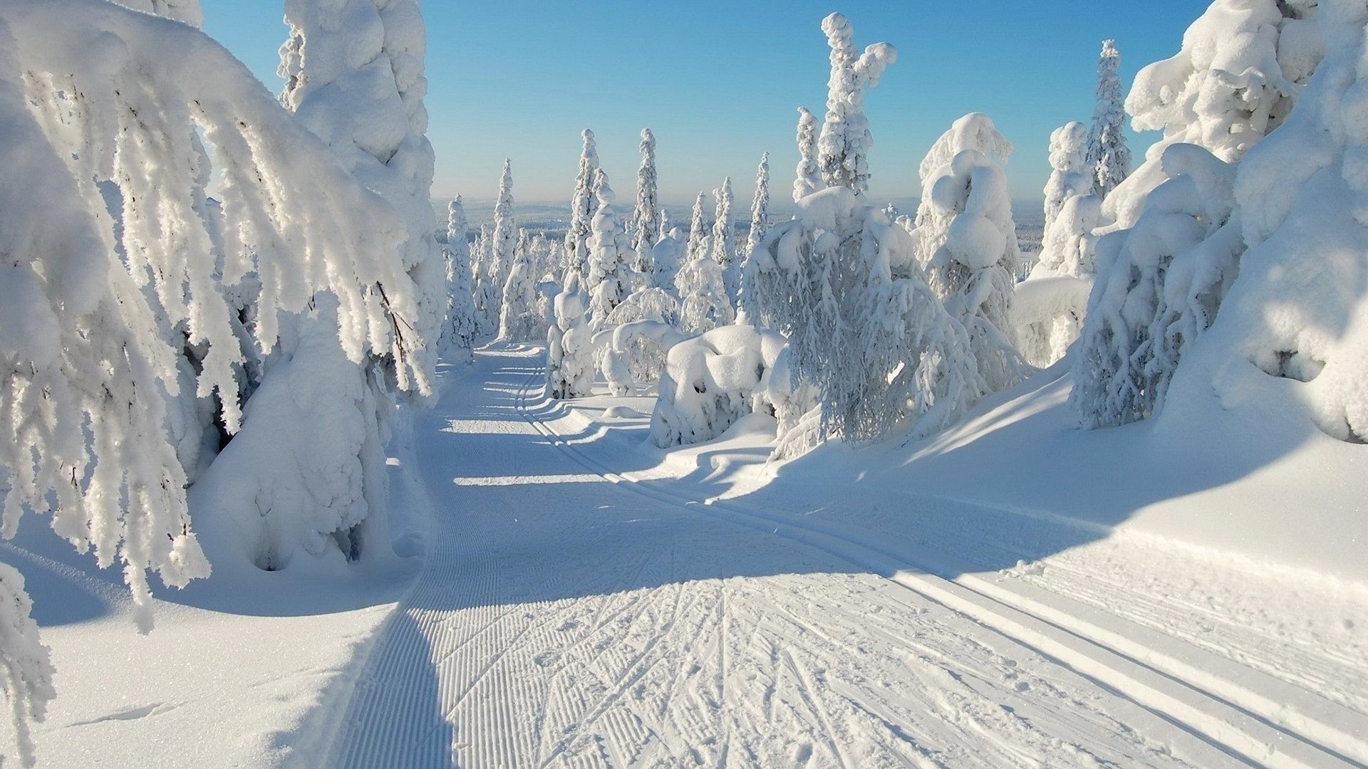 1920x1080 Winter - Natue Snowy Snow Scene Winter White Path Trees Desktop Wallpaper  for HD 16: