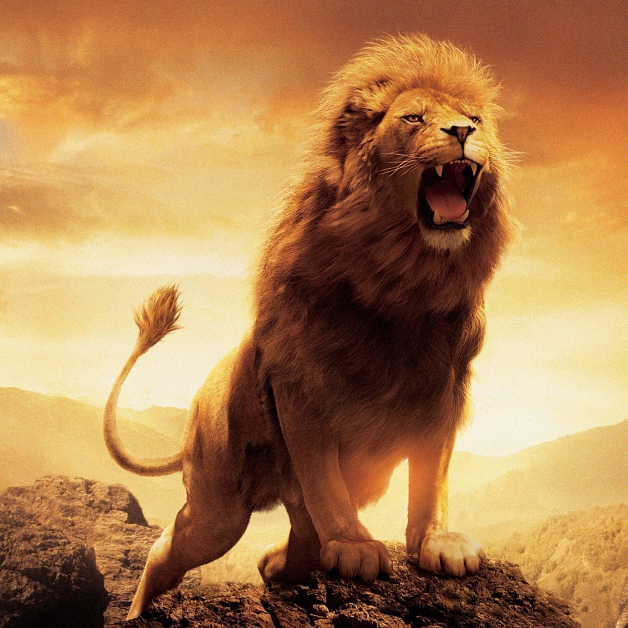 Apple Lion Wallpapers - Top Free Apple Lion Backgrounds - WallpaperAccess