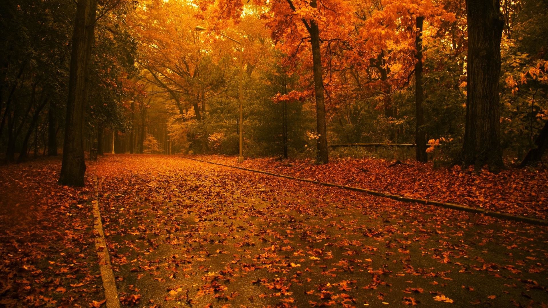 HD Fall Wallpapers (60+ images)