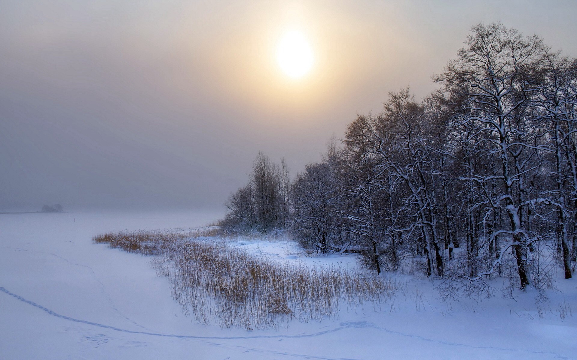 1920x1200 Winter Landscape wallpapers and stock photos
