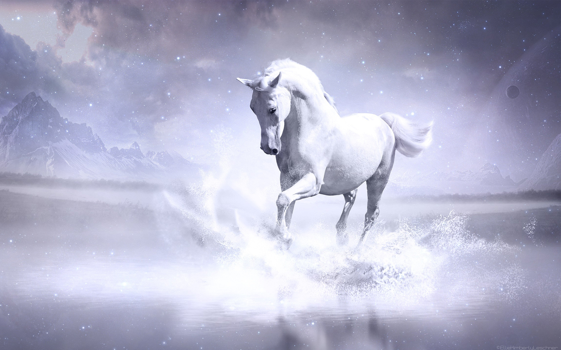 1920x1200 white horse wide background images windows colourful cool desktop wallpapers  free high definition 4k 1920Ã1200 Wallpaper HD