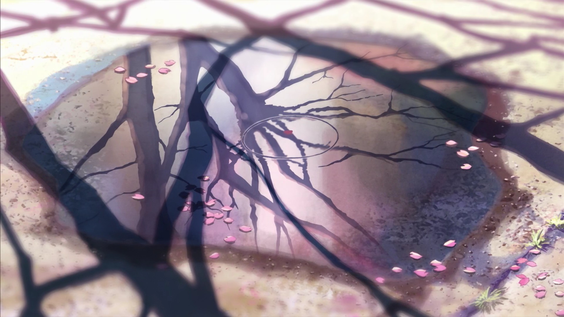1920x1080 anime, Nature, 5 Centimeters Per Second, Makoto Shinkai Wallpapers HD /  Desktop and Mobile Backgrounds
