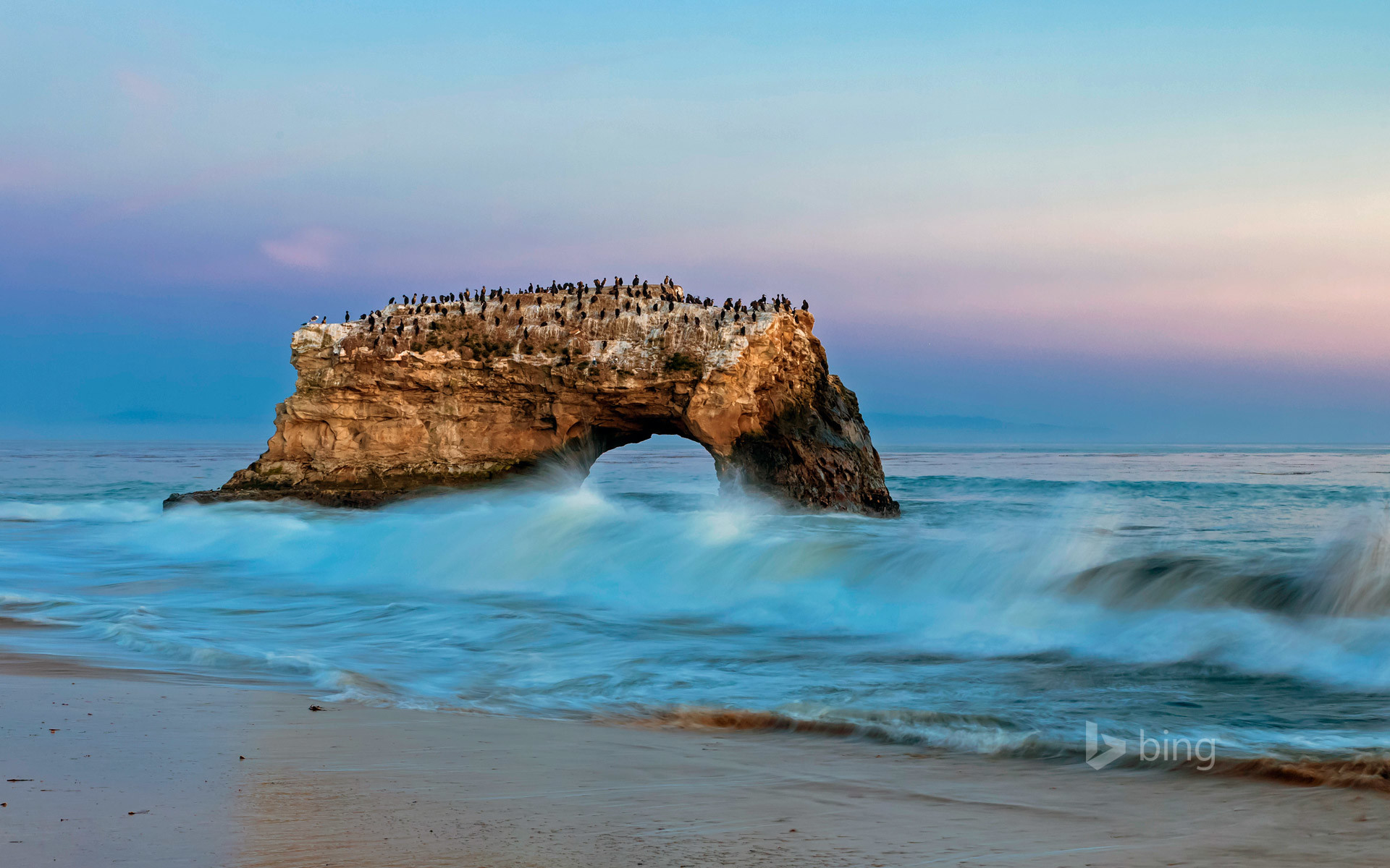 1920x1200 ... Natural Bridges State Beach, Santa Cruz, California (Â©  Fotofeeling/Westend61/plainpicture