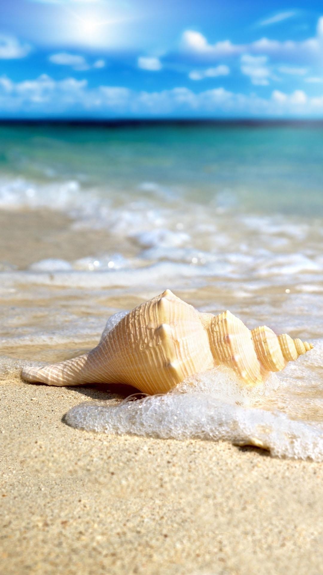 1080x1920 Seashell, nice beach, blue sky, just awesome. Tap to see more Nature