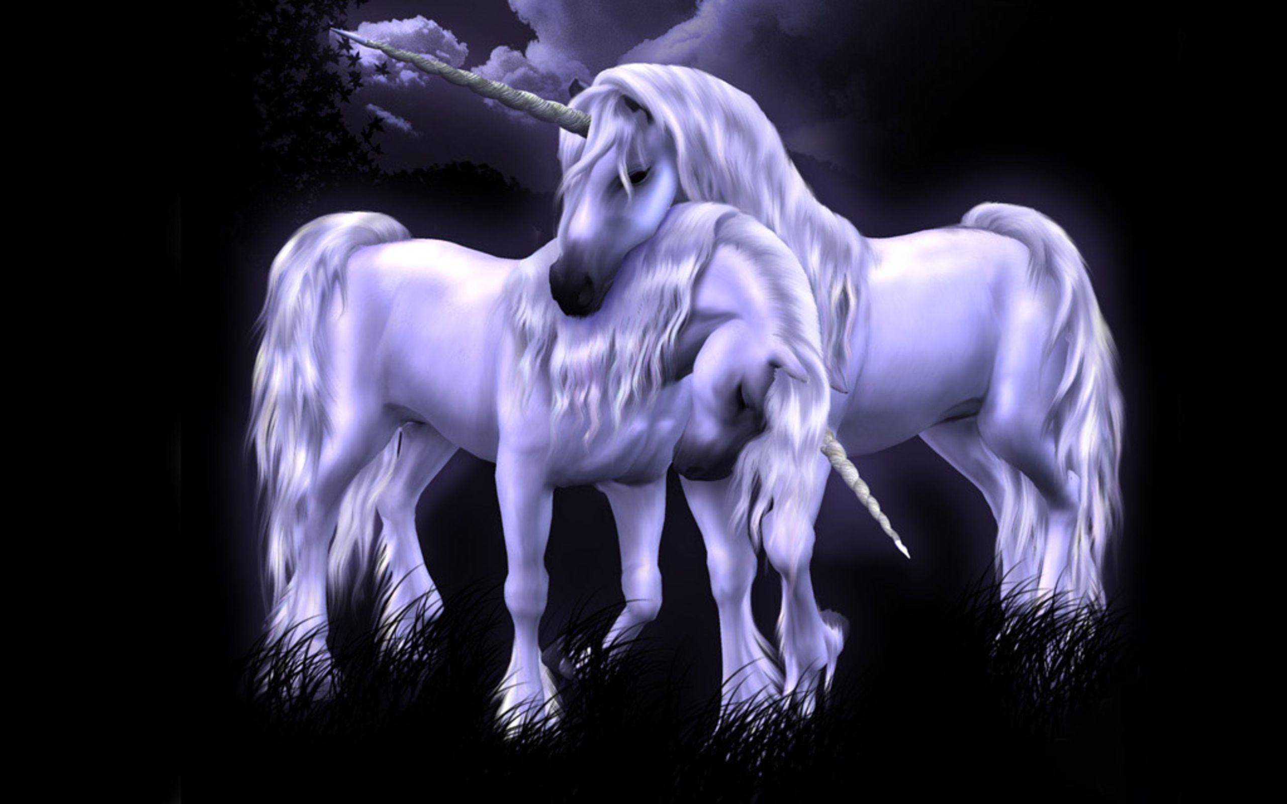 2560x1600 unicorn Wallpaper Backgrounds