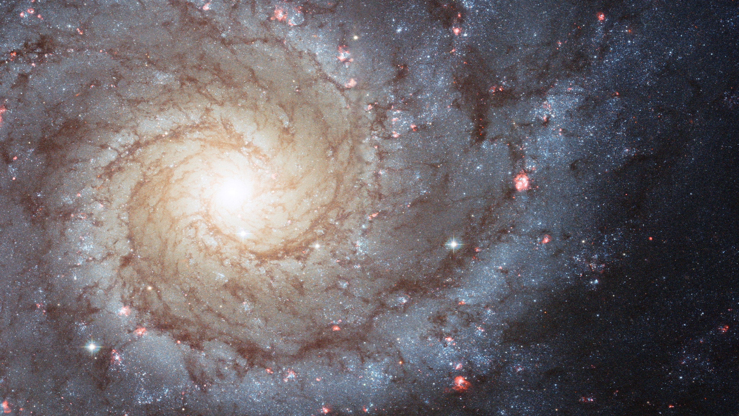 2560x1440 White Nebula Hubble Hd Wallpaper
