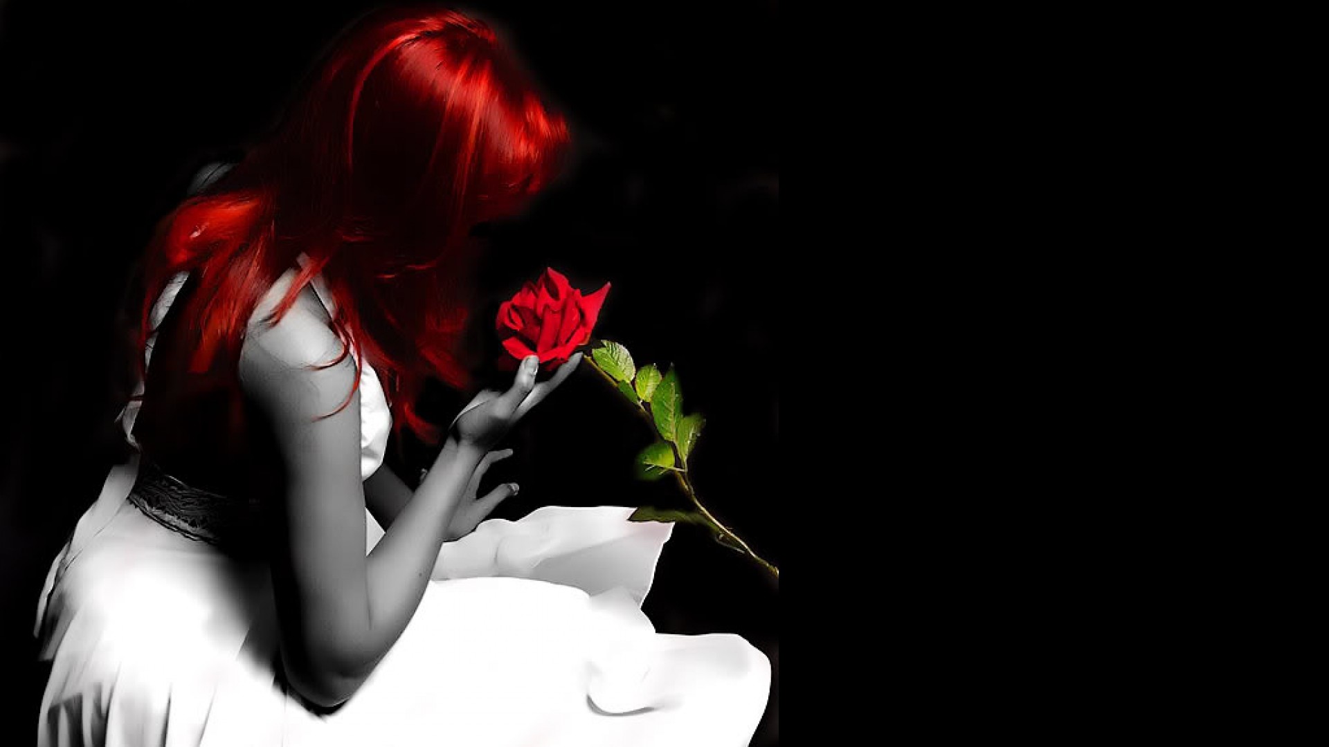 1920x1080 nice-wallpapers-hd-free-red-rose