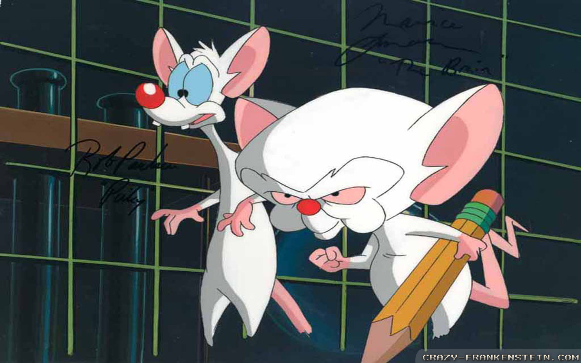 1920x1200 Wallpaper: Pinky and the Brain Resolution: 1024x768 | 1280x1024 |  1600x1200. Widescreen Res: 1440x900 | 1680x1050 | 