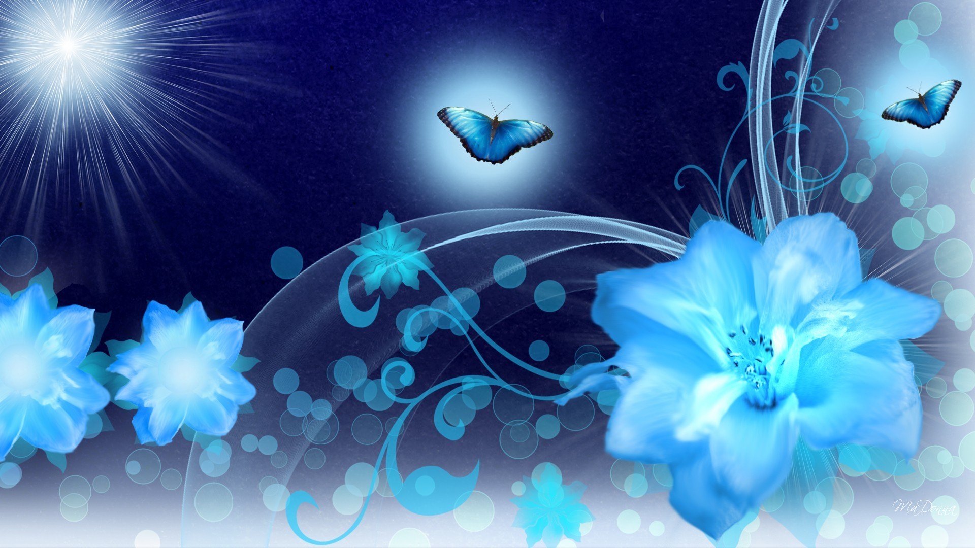 1920x1080 Blues Dark Evening Blue Summer Spring Abstract Fleurs Night Flowers Forever  Blooms Swirls Light Butterfly Papillon