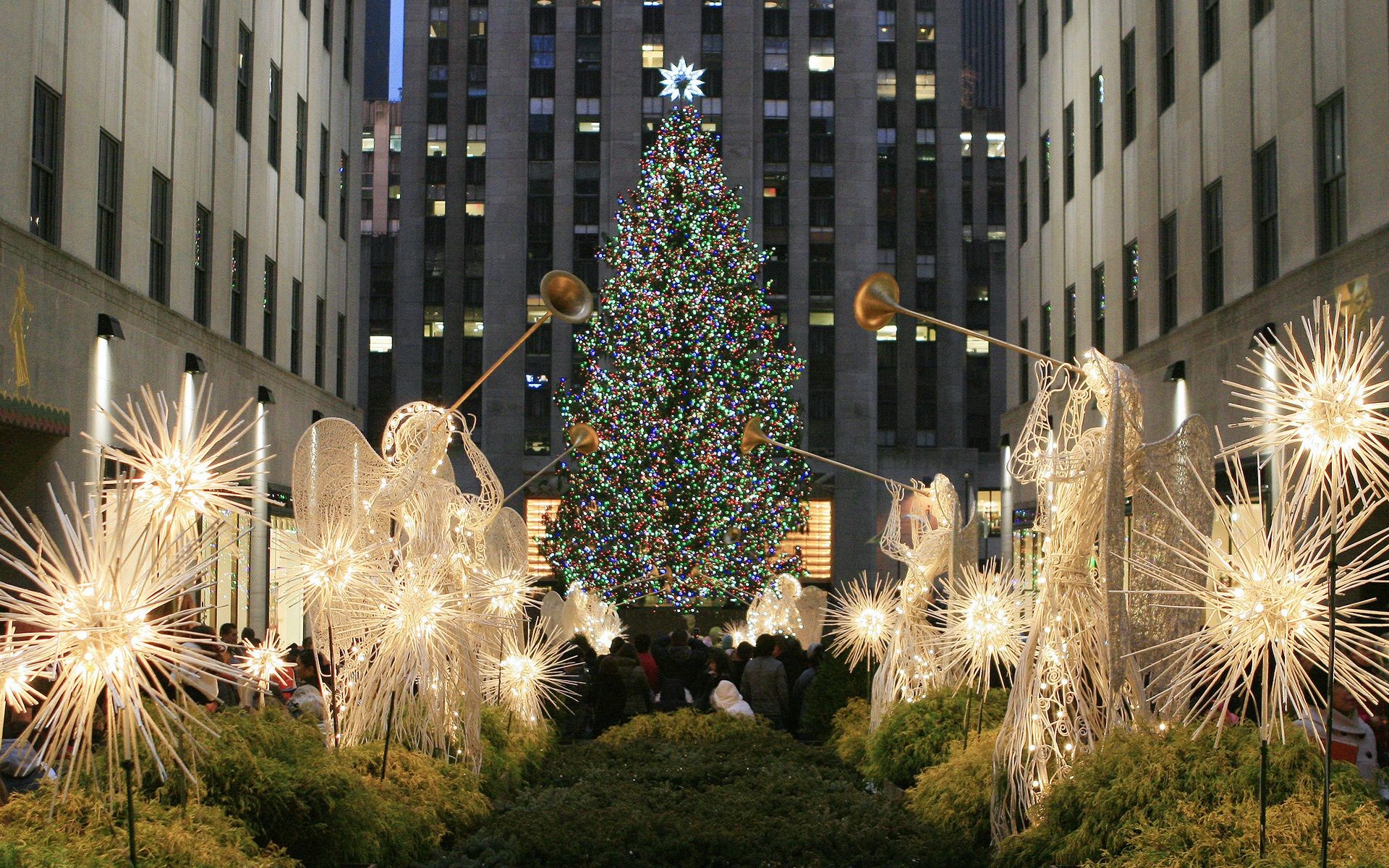 1920x1200   Winter, Christmas, Xmas, Christmas Tree, New York, Xmas  .