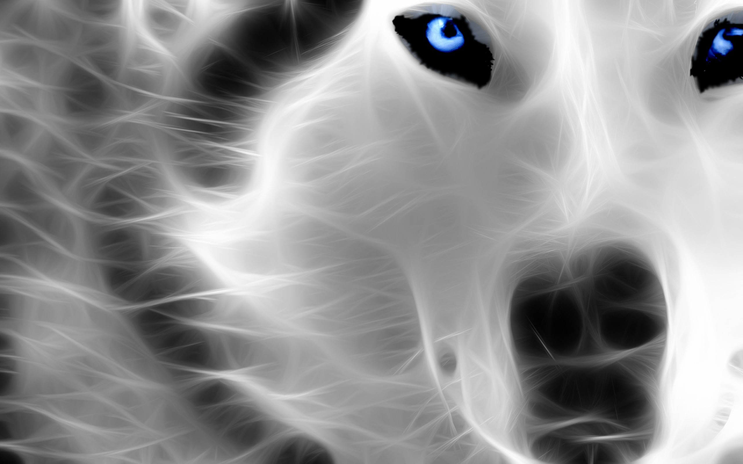 2560x1600 Ice Wolf Wallpaper Awesome 45 Wallpapers Hd