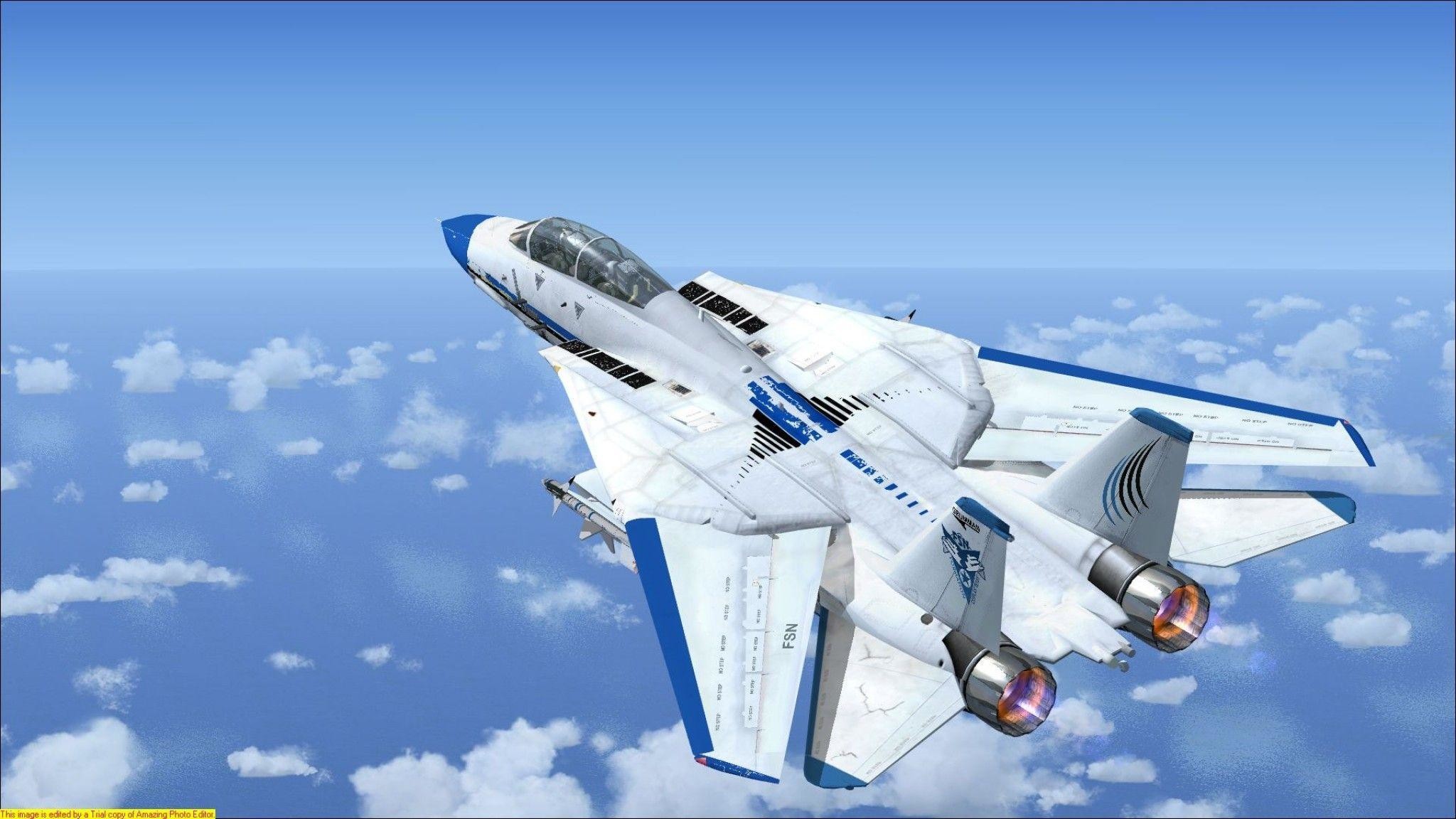 2048x1152 F 14 Tomcat FSX, burn, f-22, f22, military, sky
