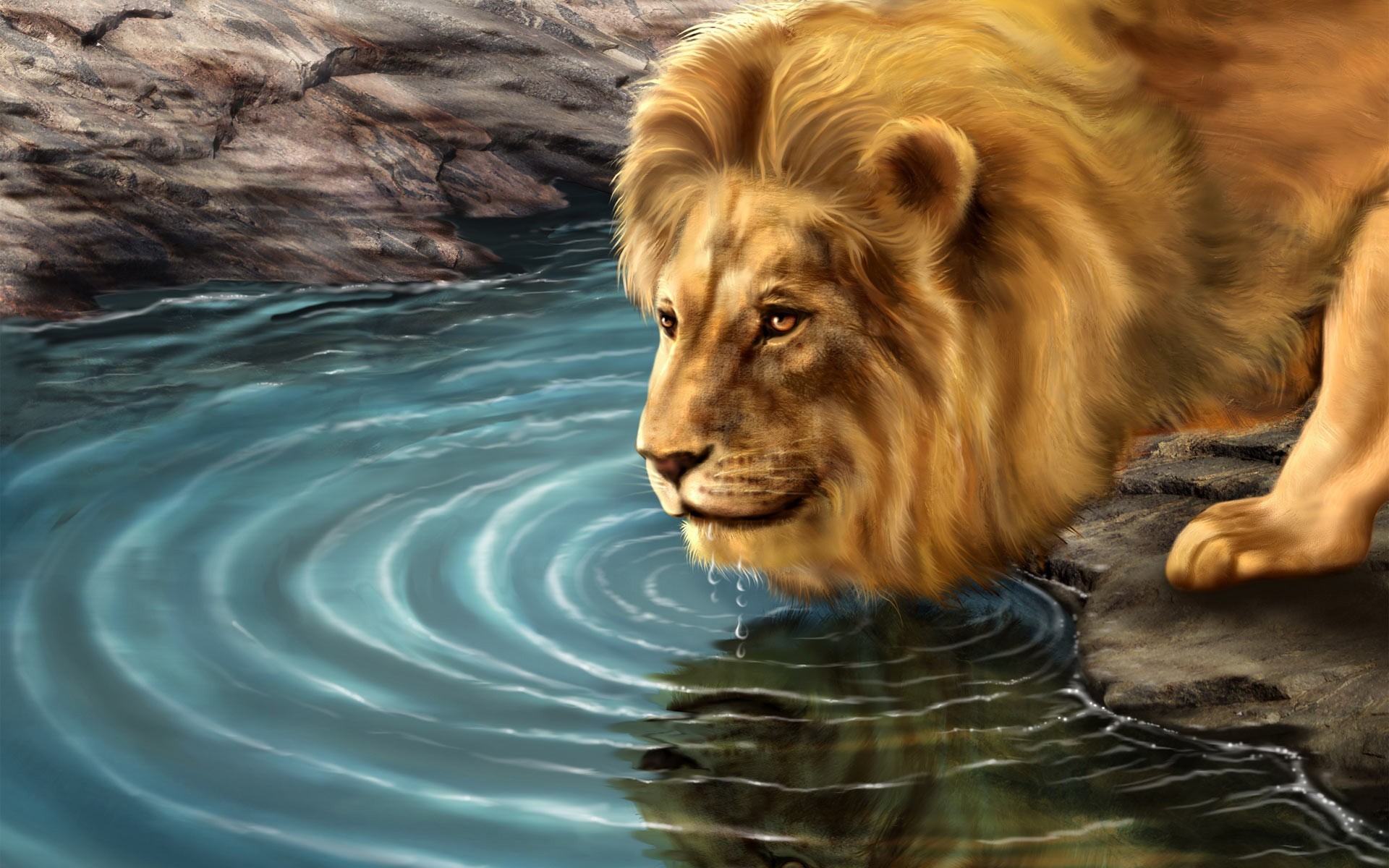 1920x1200 Lion lion water drinking hd wallpapers.jpg Ã¢€“ World HD Wallpapers