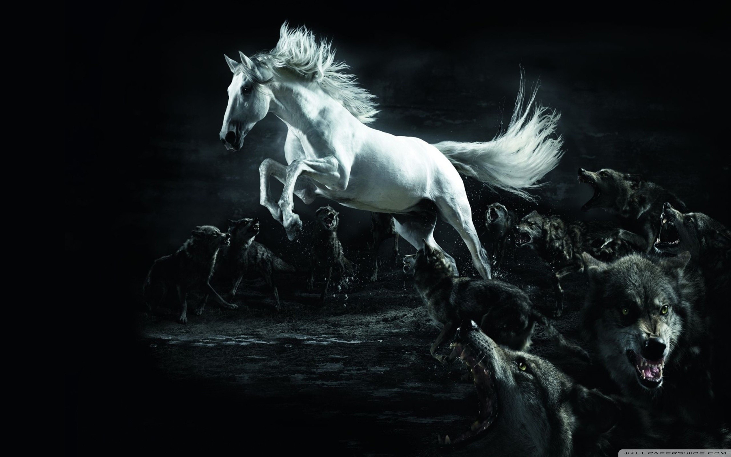 2560x1600 Horse and Wolves HD Wide Wallpaper for Widescreen