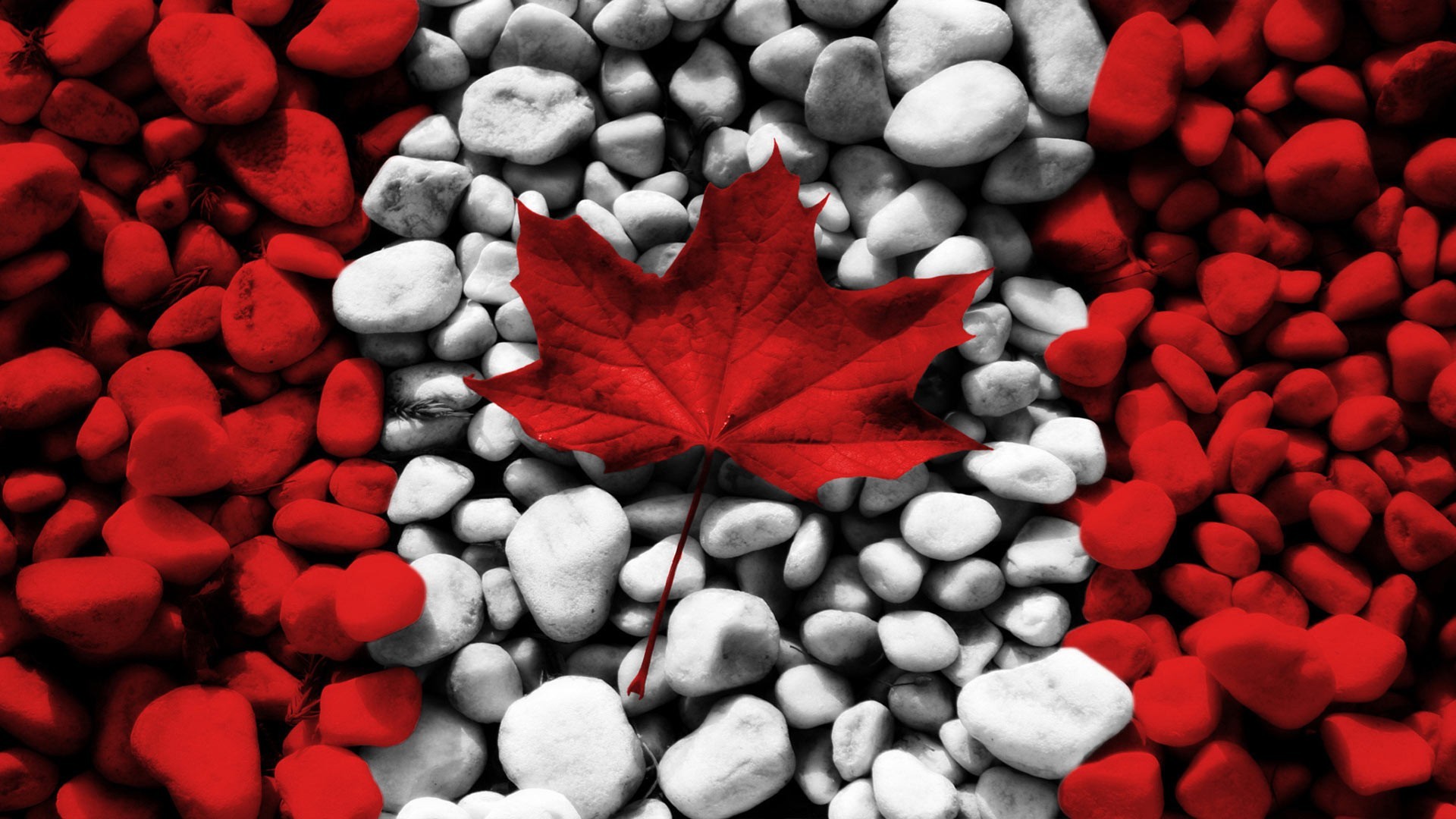 Canadian Flag Wallpaper (55+ images)