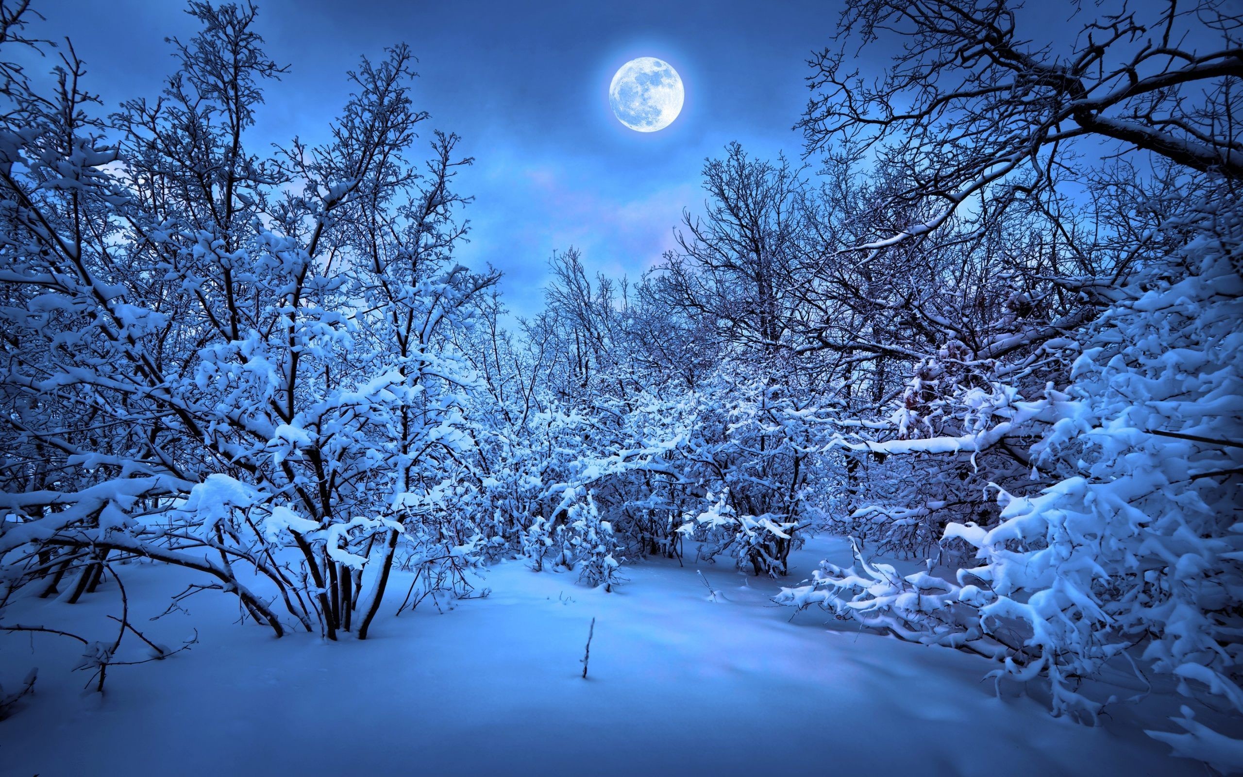 2560x1600 Blue Moon Good Night Wallpaper HD Download For Desktop