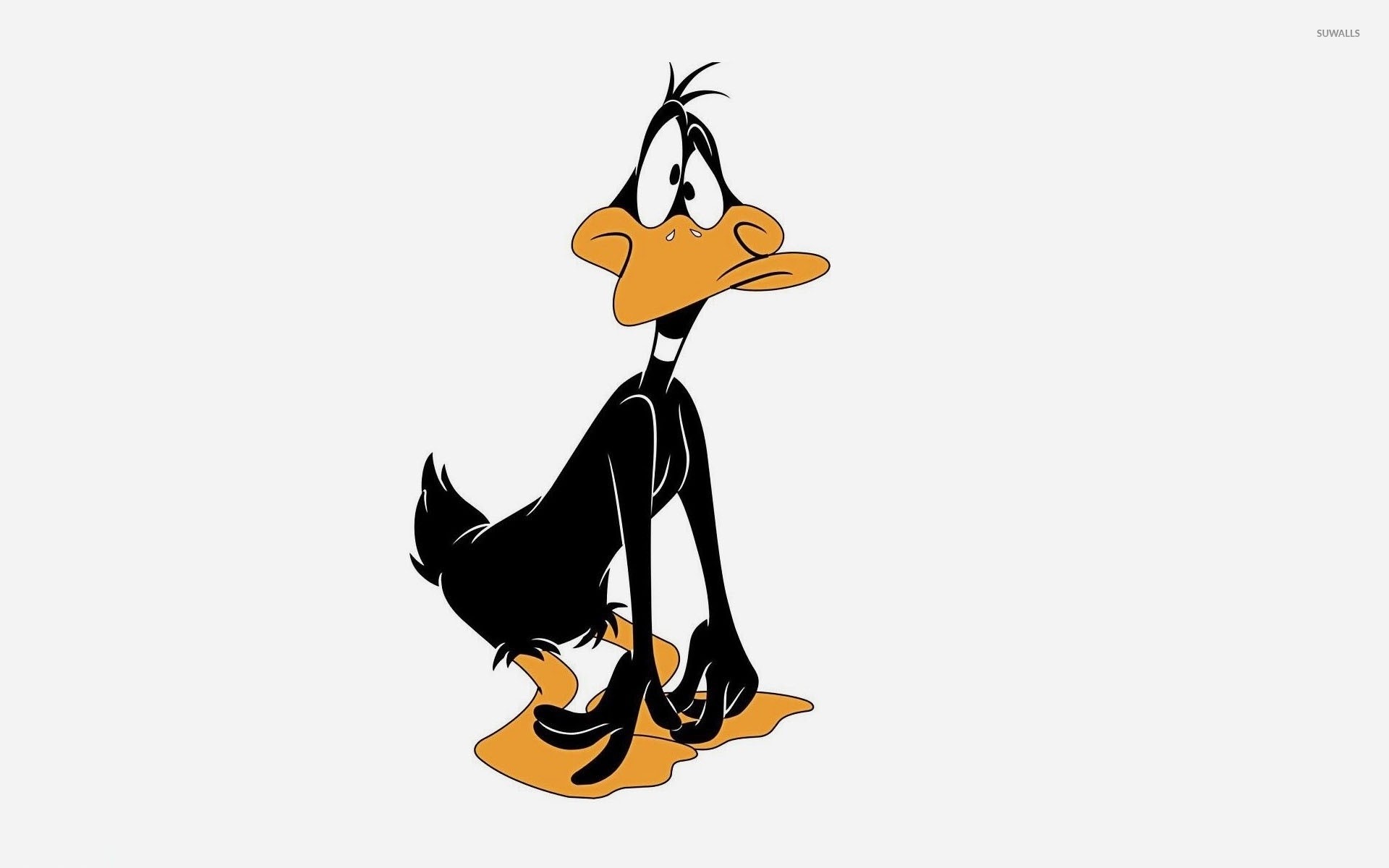 1920x1200 Sad and surprised Daffy Duck wallpaper