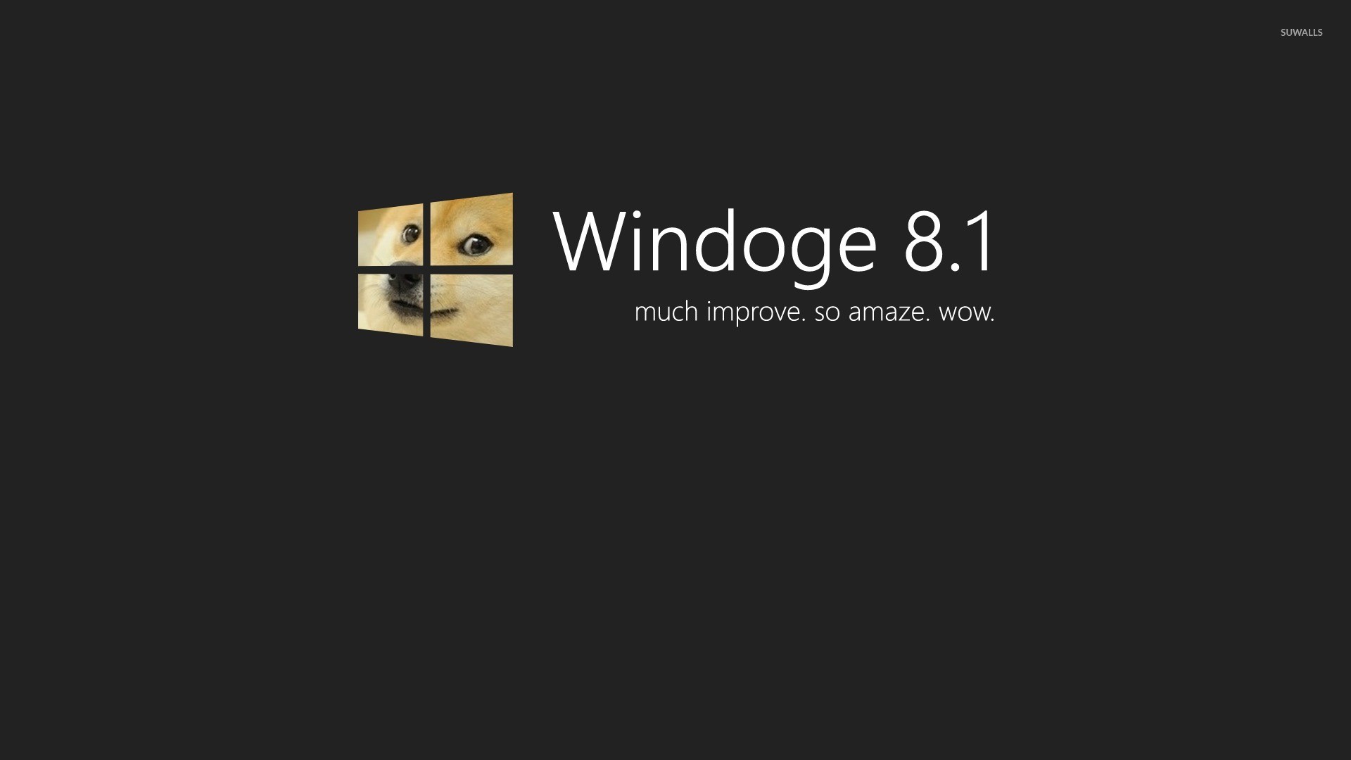 1920x1080 Doge Windows 8.1 wallpaper - Computer wallpapers - #27993