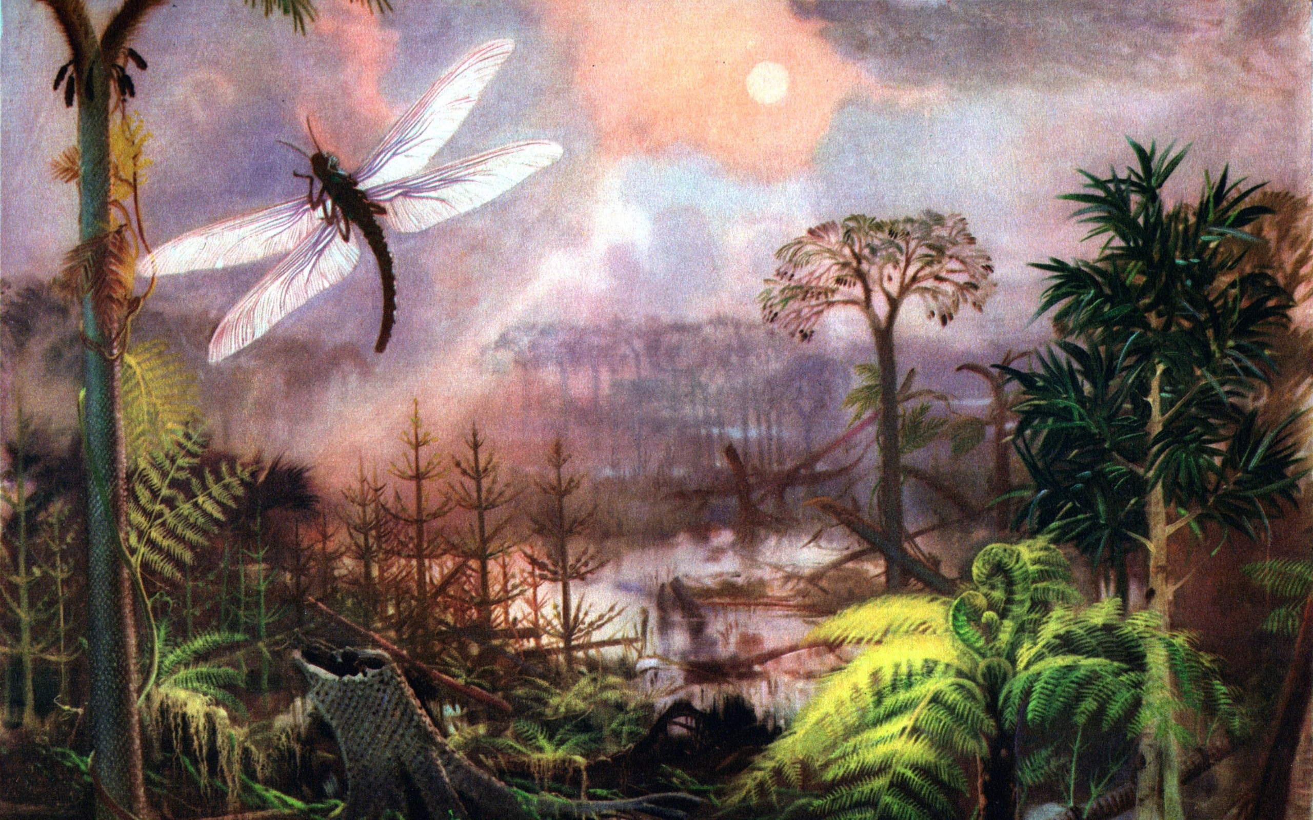 2560x1600 paintings forest insects ferns prehistoric zdenek burian 3635x2506  wallpaper Art HD Wallpaper