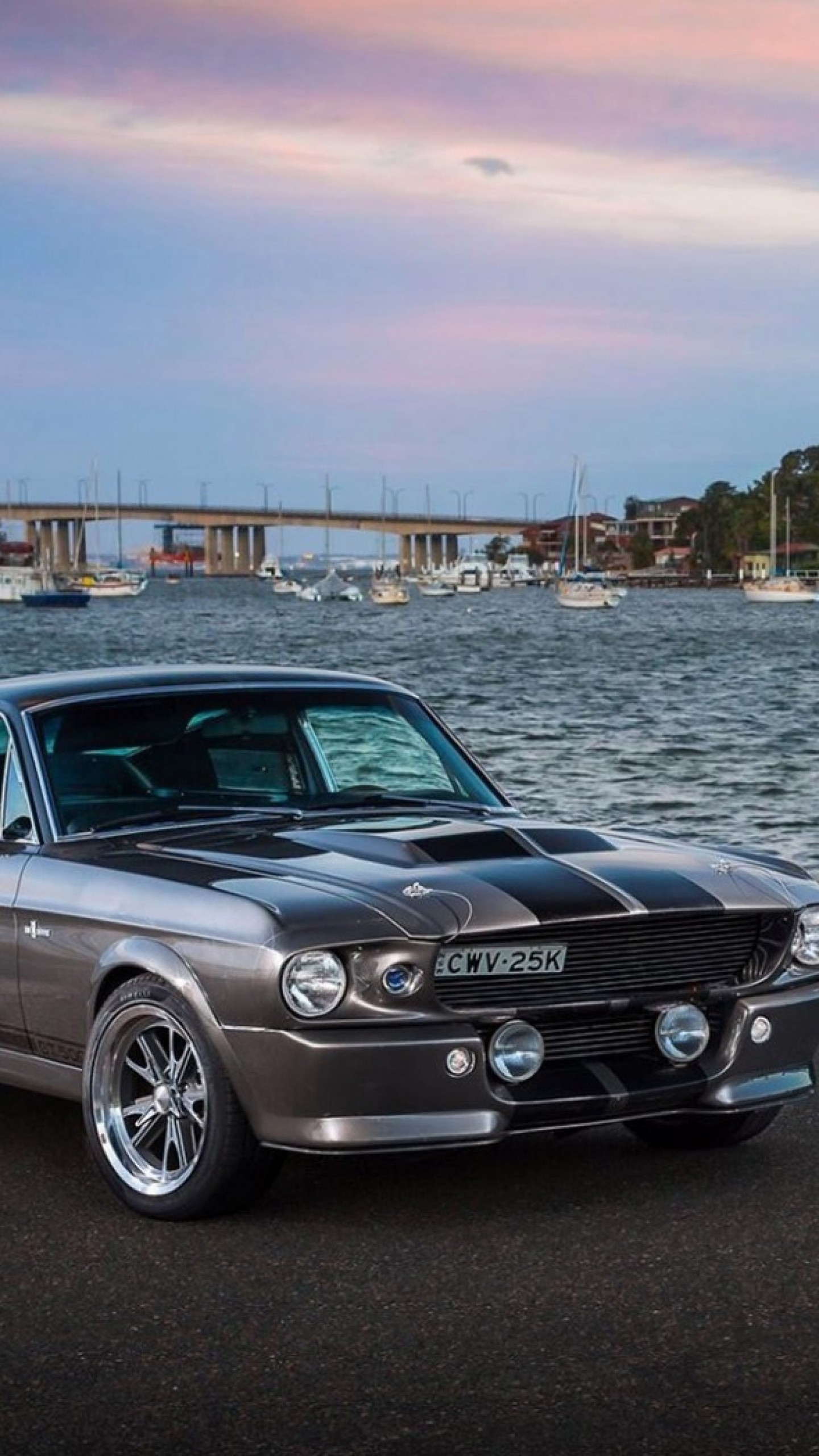 1440x2560 Preview wallpaper ford, mustang, silver, sea 