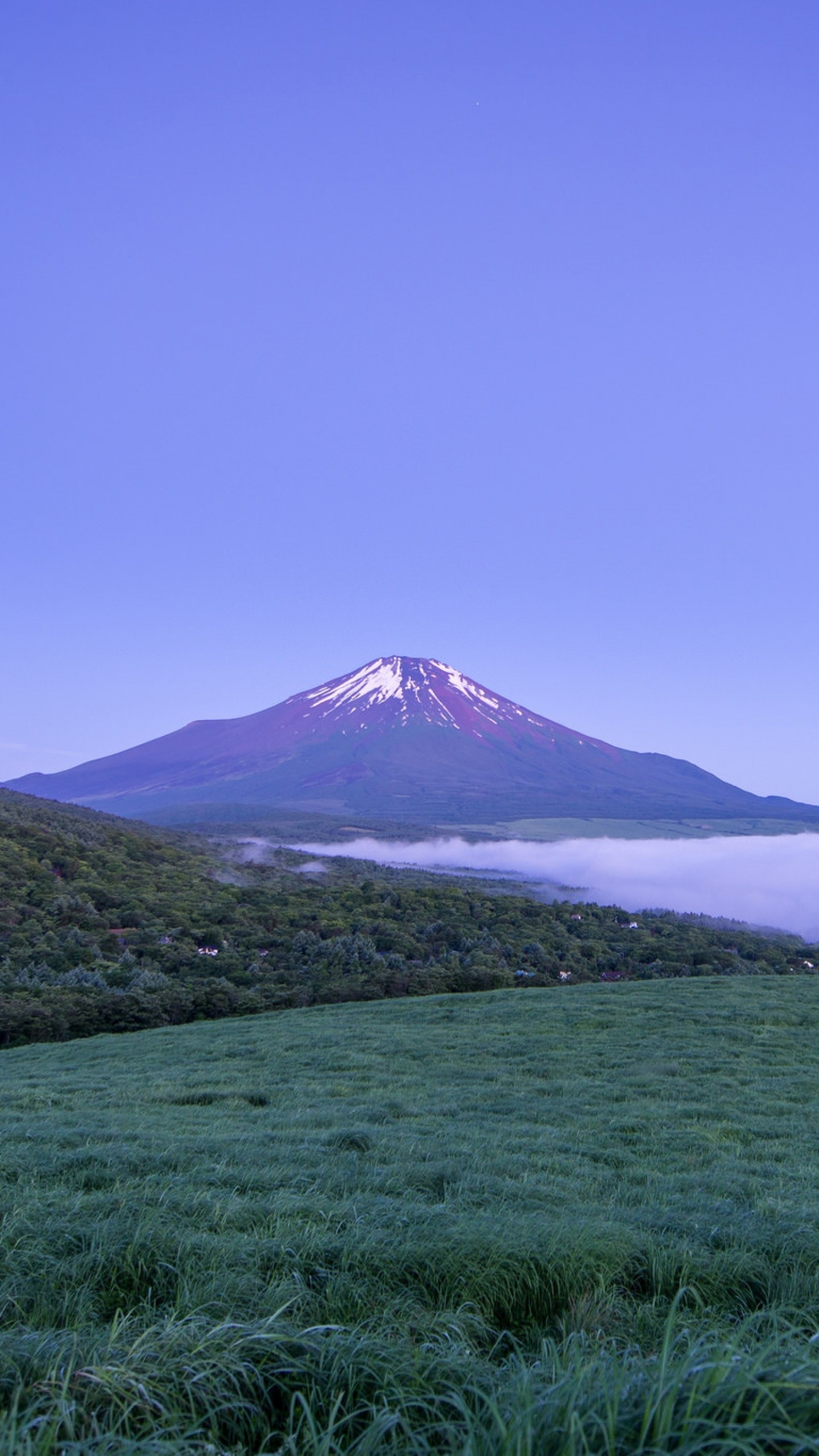 1440x2560  Wallpaper volcano, honshu, mist, mountain, japan, fuji