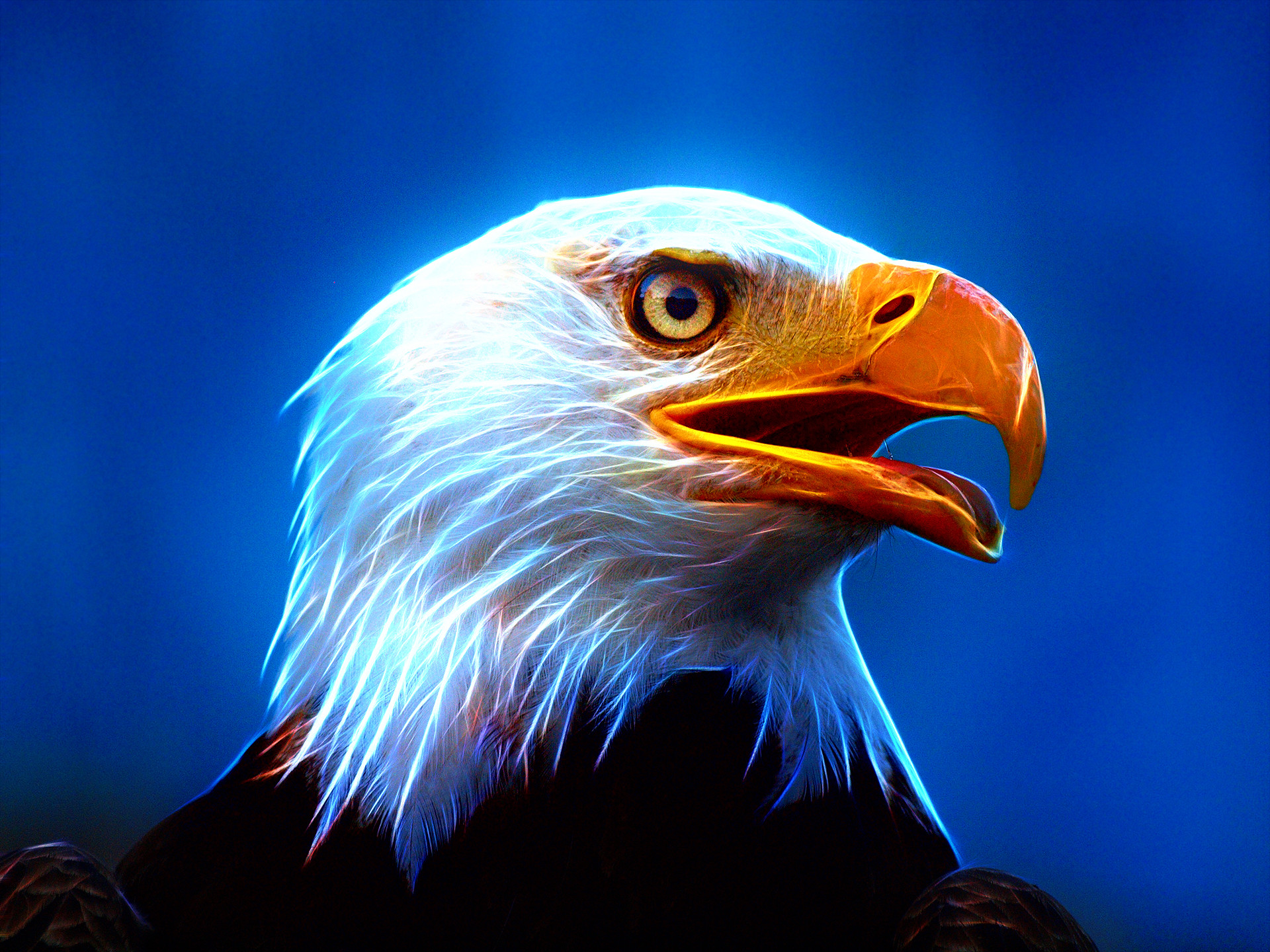 1920x1440 Eagle Desktop Wallpapers Amazing Collection Eagle Wallpapers for