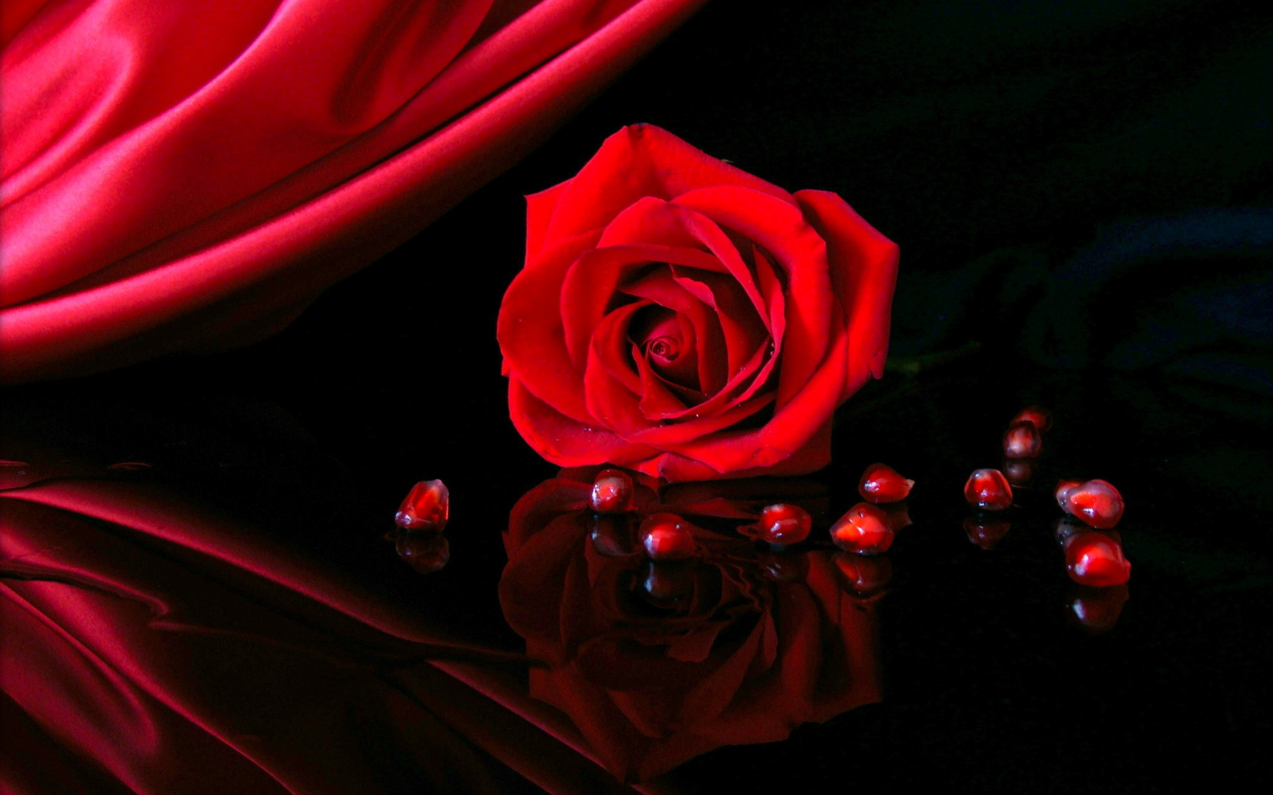 2560x1600  Beautiful Red Rose Wallpapers | HD Wallpapers | Pinterest | Hd  wallpaper and Wallpaper