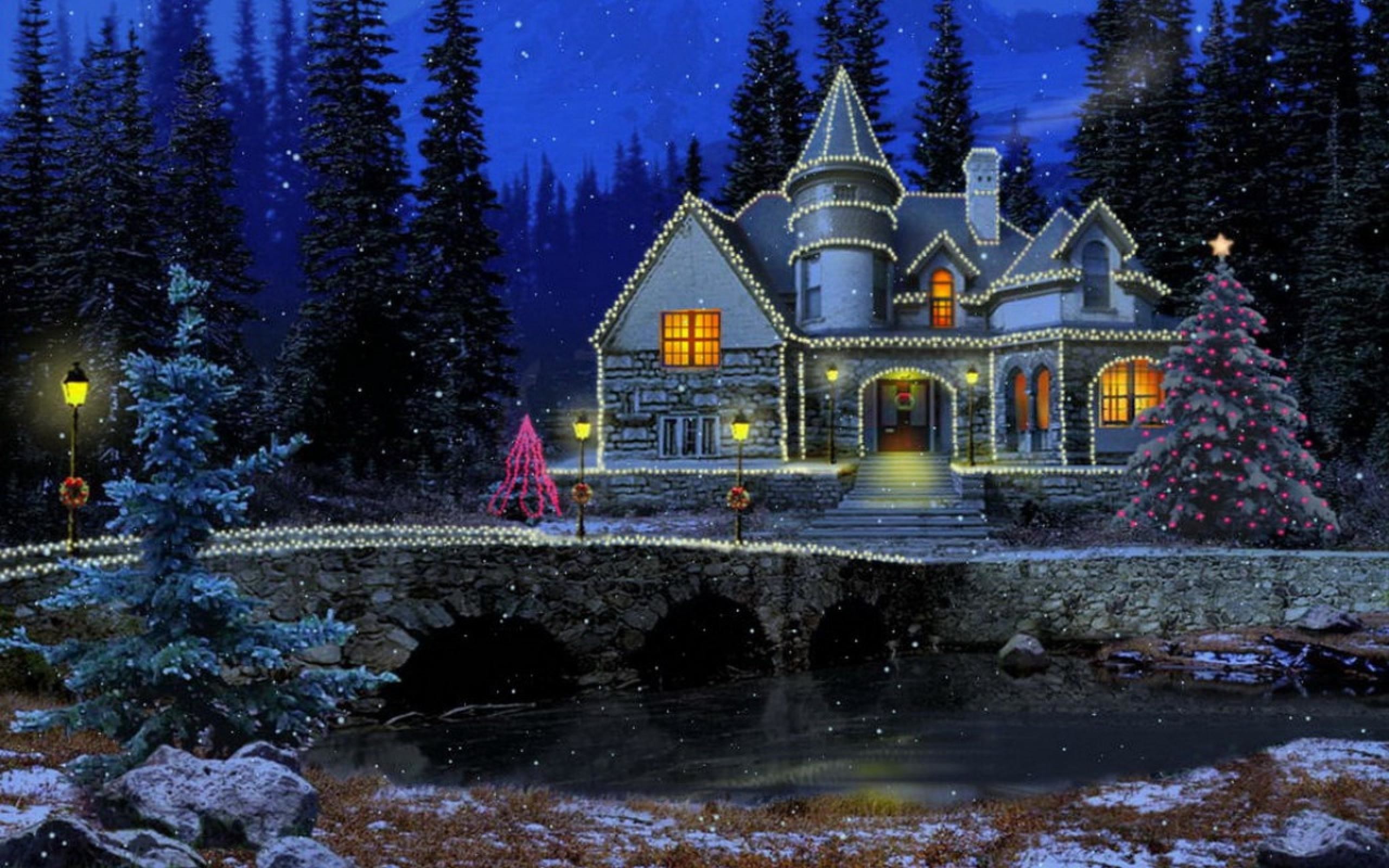 2560x1600 Download Winter Night wallpaper Full HD