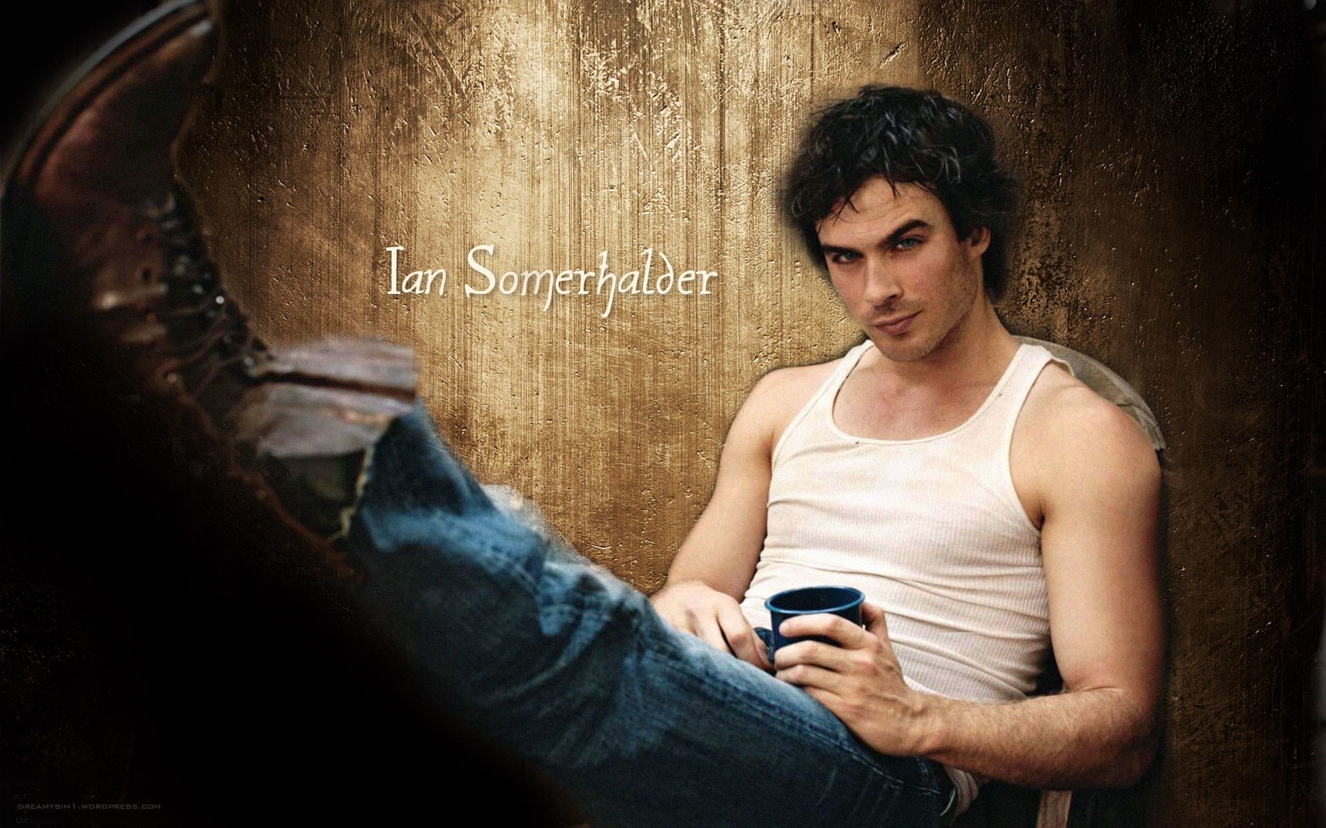 1920x1200 ... Damon Salvatore Wallpapers 72 background pictures