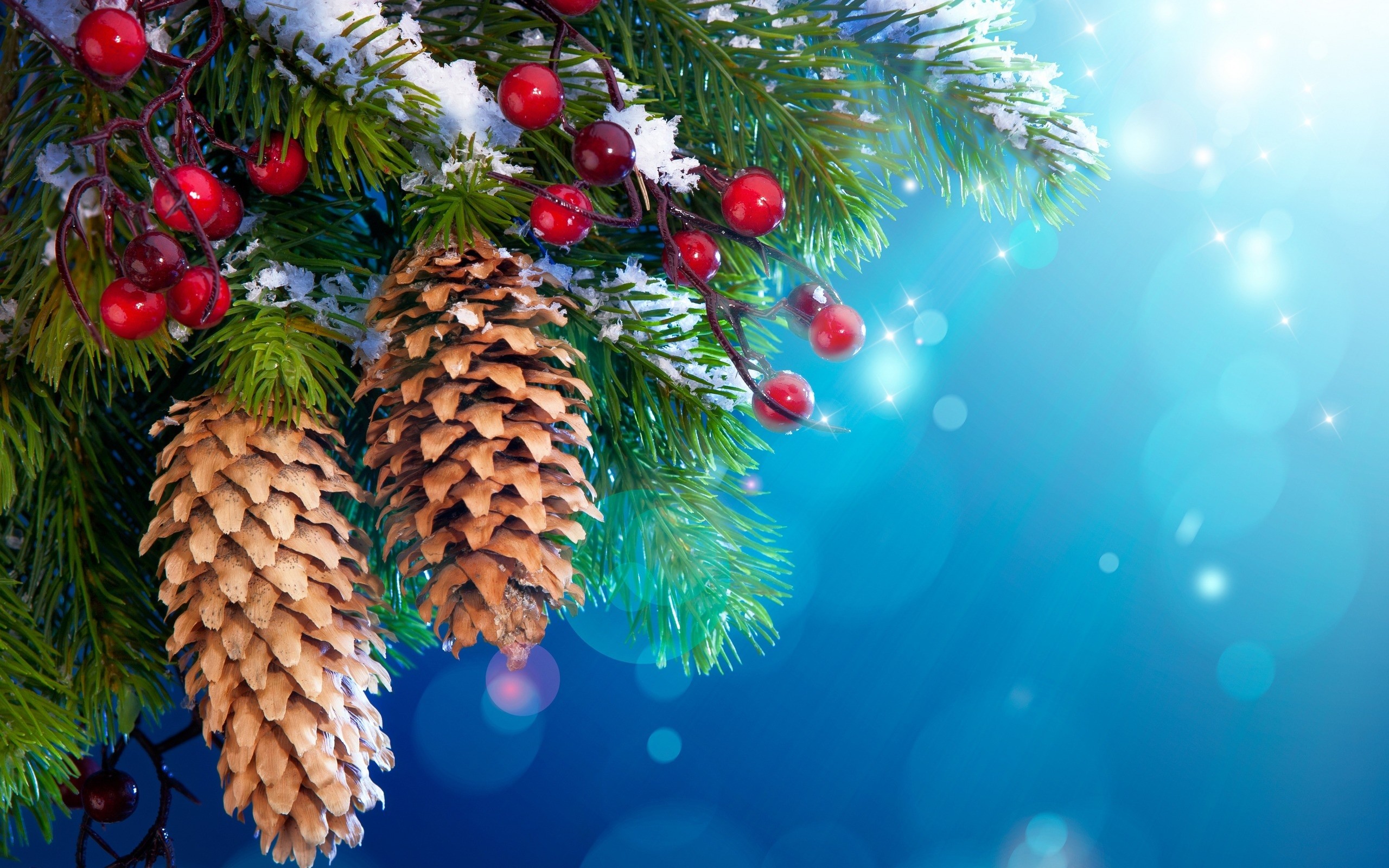 2560x1600 Christmas Tree Branches with Cones