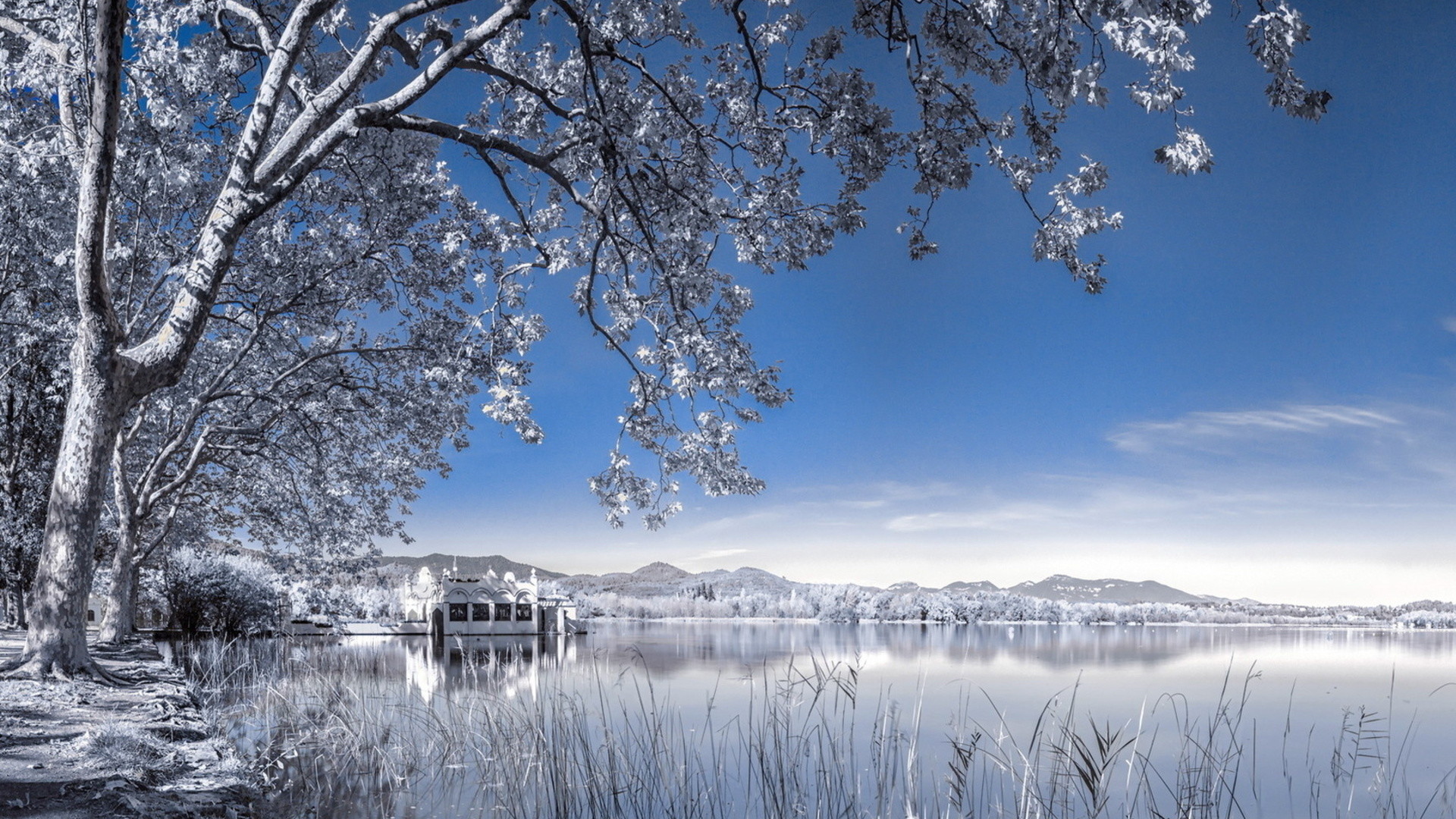 1920x1080 Winter Background Landscape.