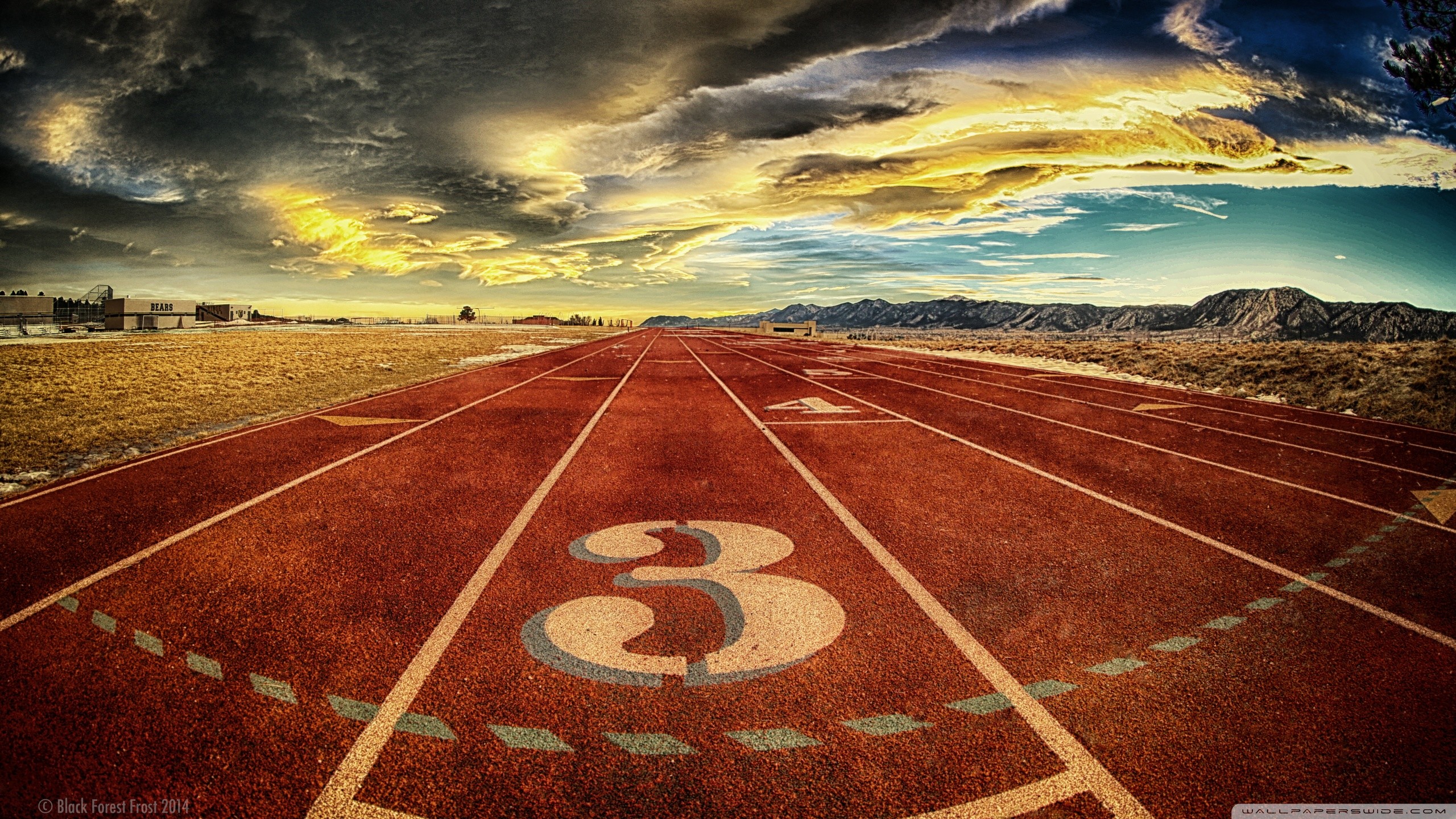 Track And Field Wallpaper (59+ images)