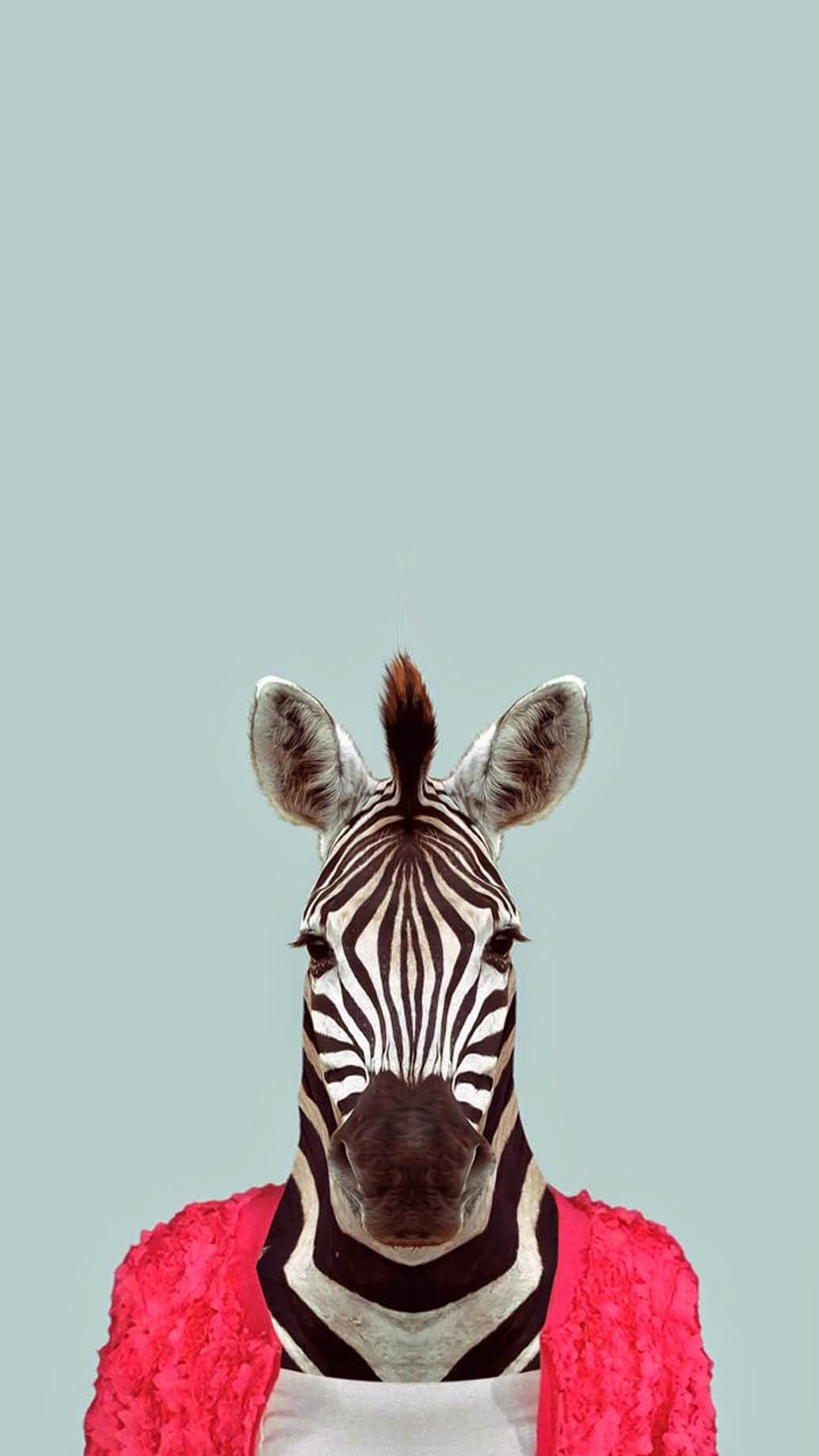 1080x1920 Zebra Funny Animal Portrait #iPhone #6 #plus #wallpaper