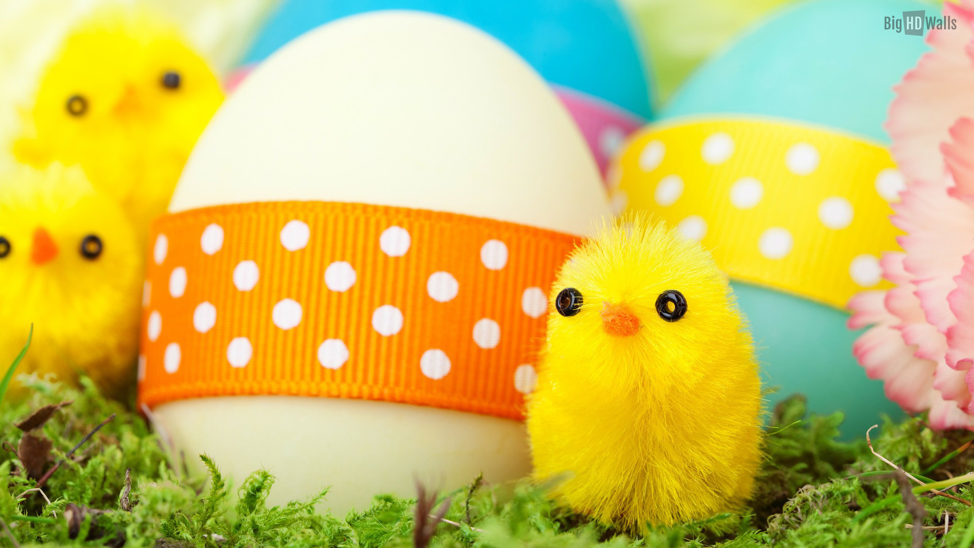 1920x1080 Colorful Easter eggs hd wallpaper