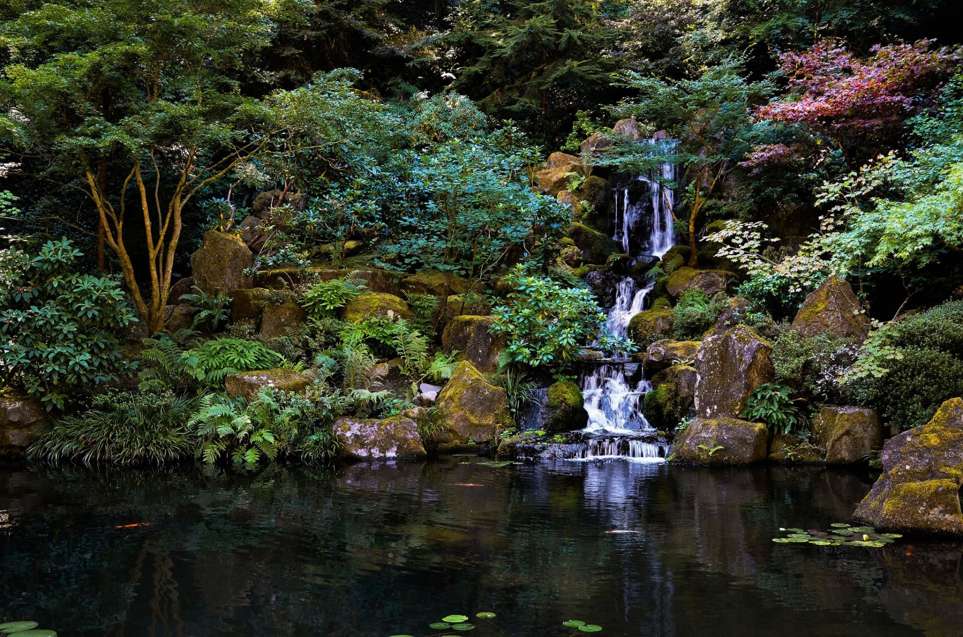 1920x1271 japanese garden japanese garden waterfall stones tree pond park