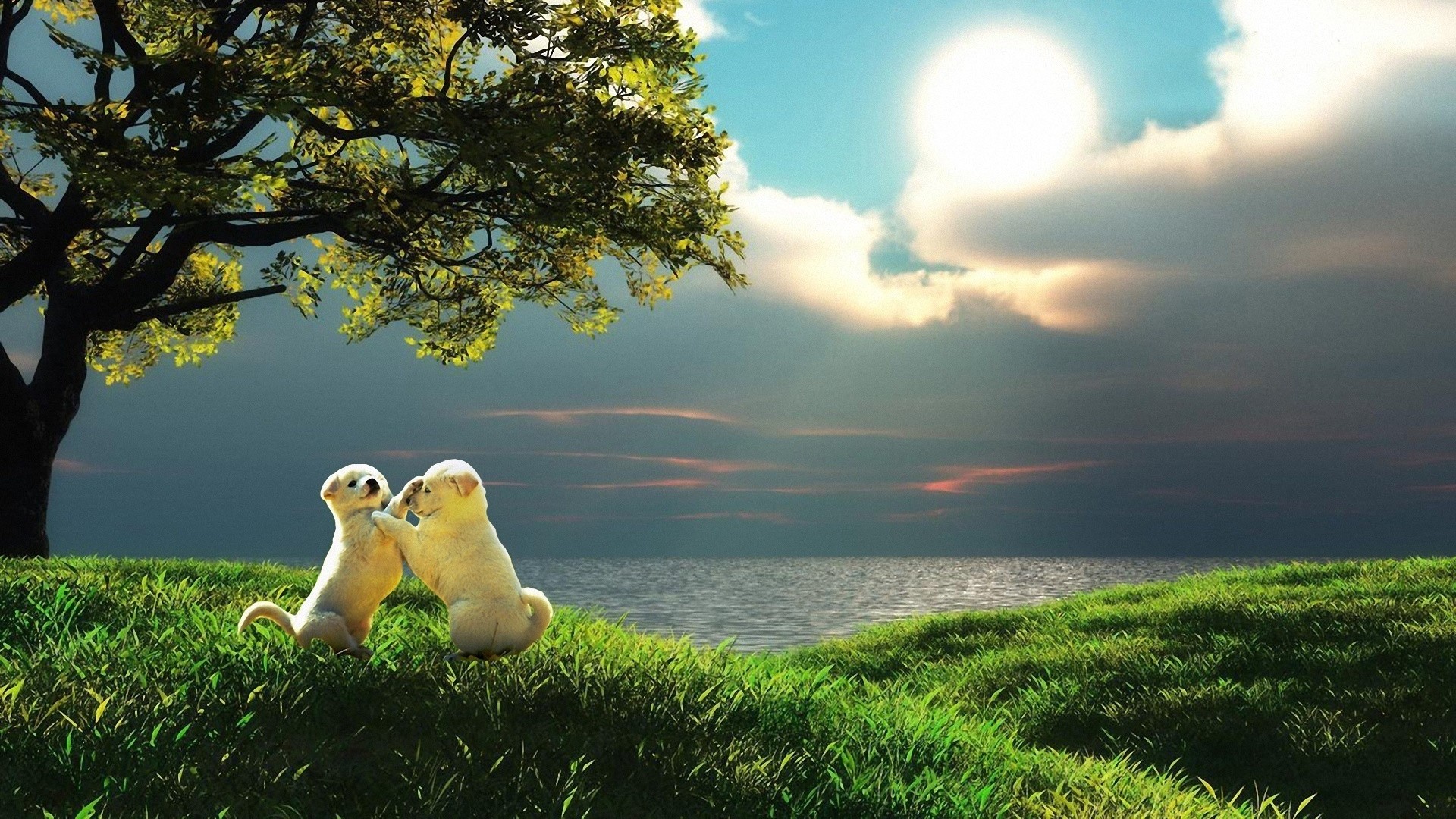 1920x1080 Preview wallpaper puppy, couple, sunset, nature, play, kids 