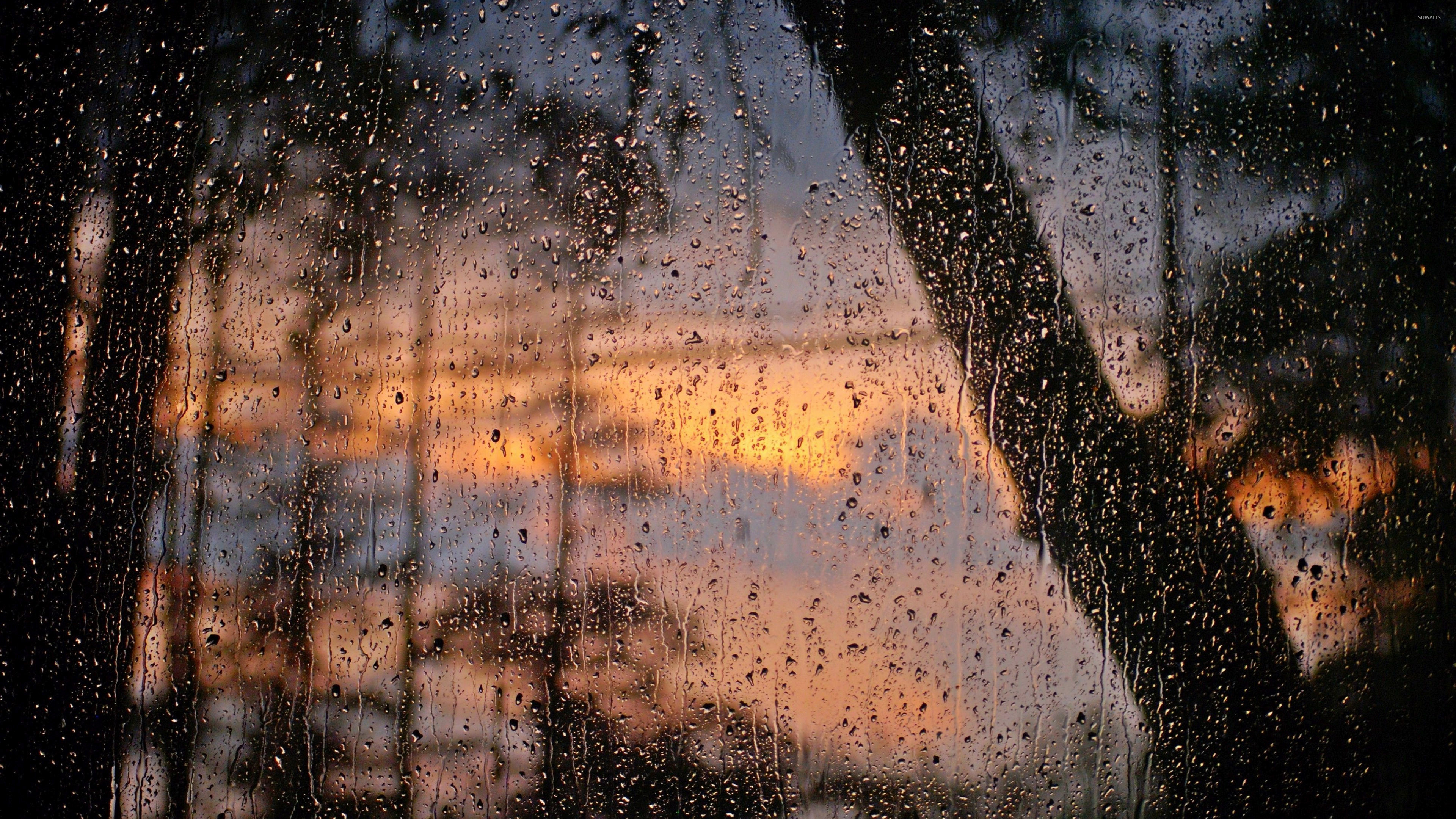 750 Rainy Window Pictures  Download Free Images on Unsplash