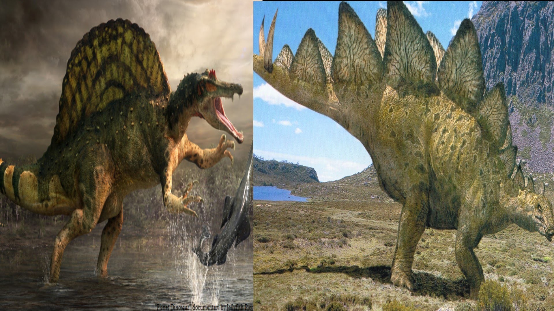 1920x1080 Spinosaurus vs Stegosaurus: Who Would Win?