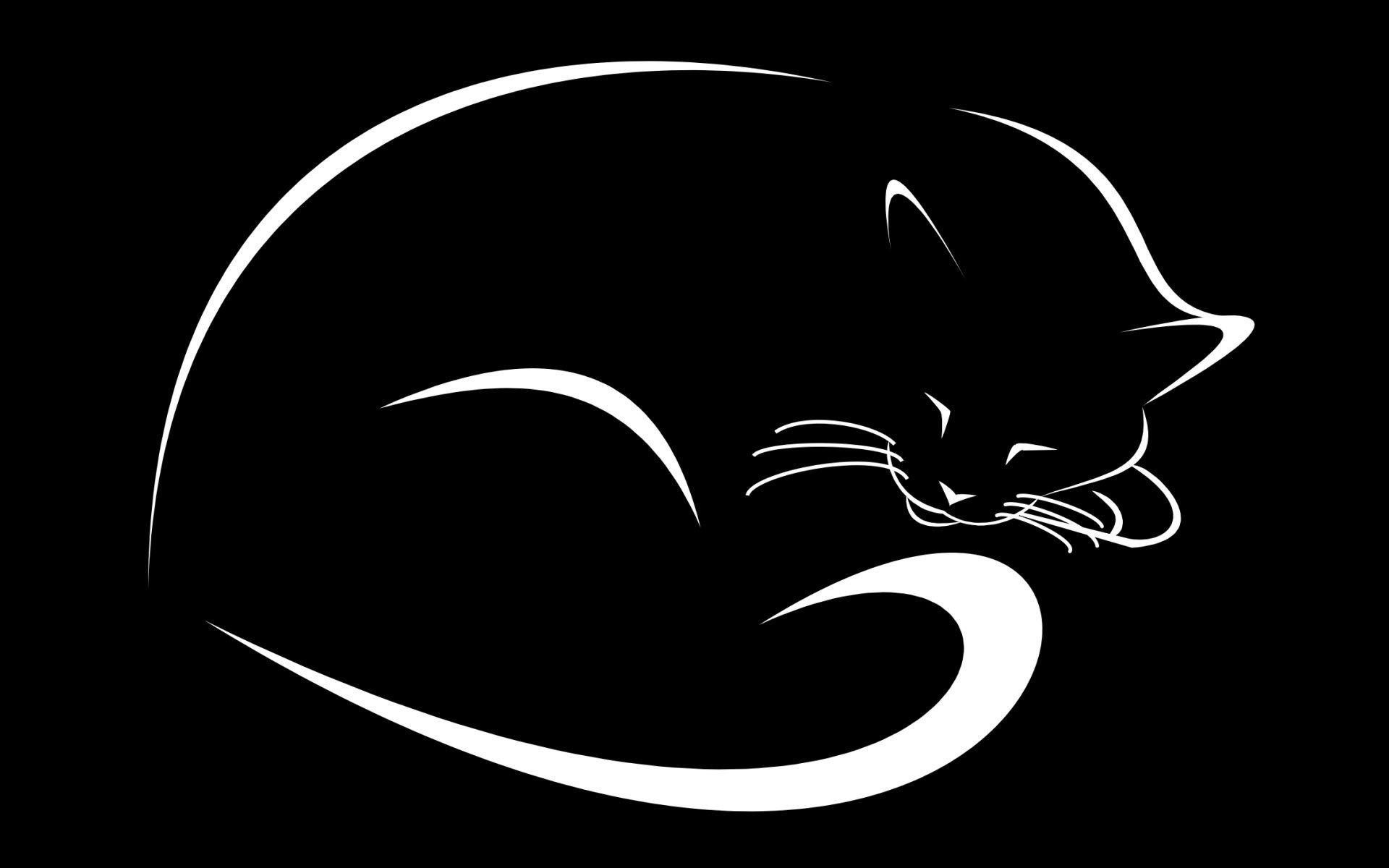 1920x1200 Download-black-cat-Wallpaper - Cute Cat Wallpapers