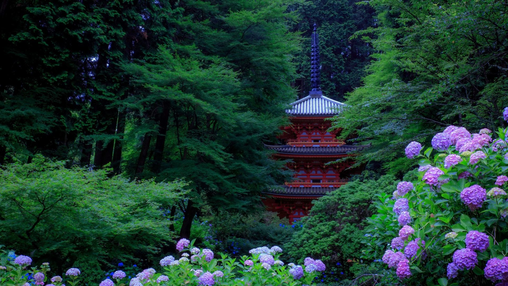 1920x1080 Pagodas Tag - Hydrangea Nature Trees Gardens Pagodas Kyoto Japan 3d Hd  Image for HD 16